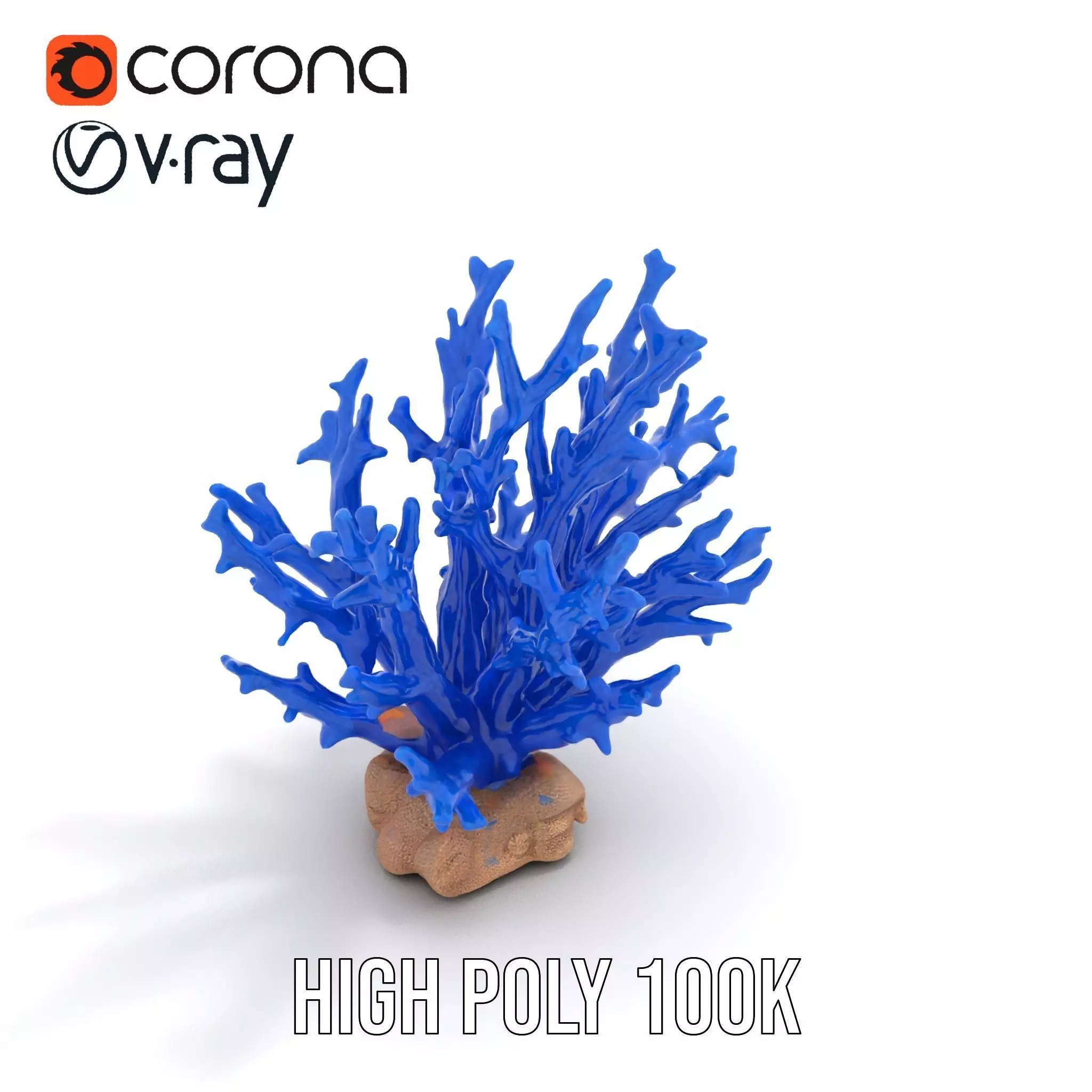 Azure Coral Branch model pack Low-poly 3D model_23