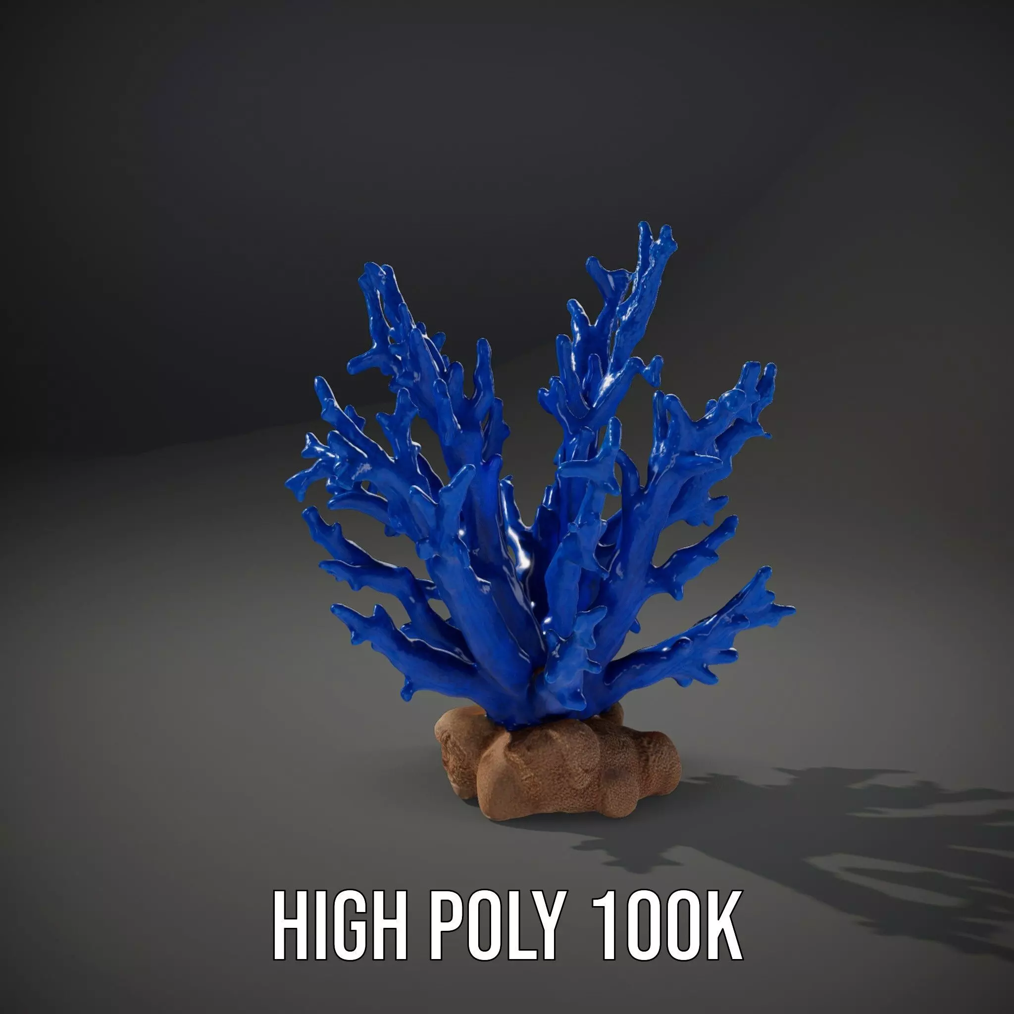 Azure Coral Branch model pack Low-poly 3D model_8
