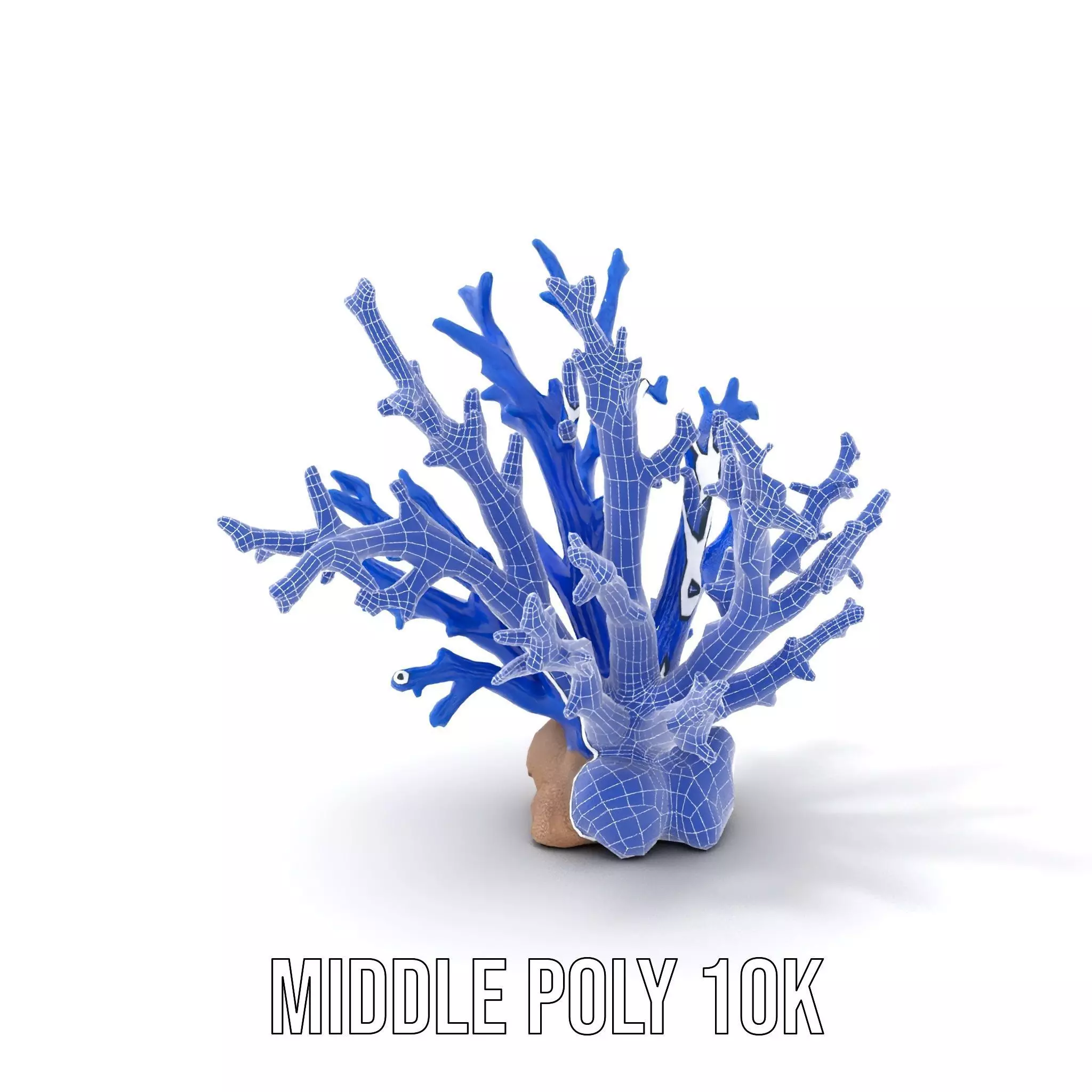 Azure Coral Branch model pack Low-poly 3D model_13