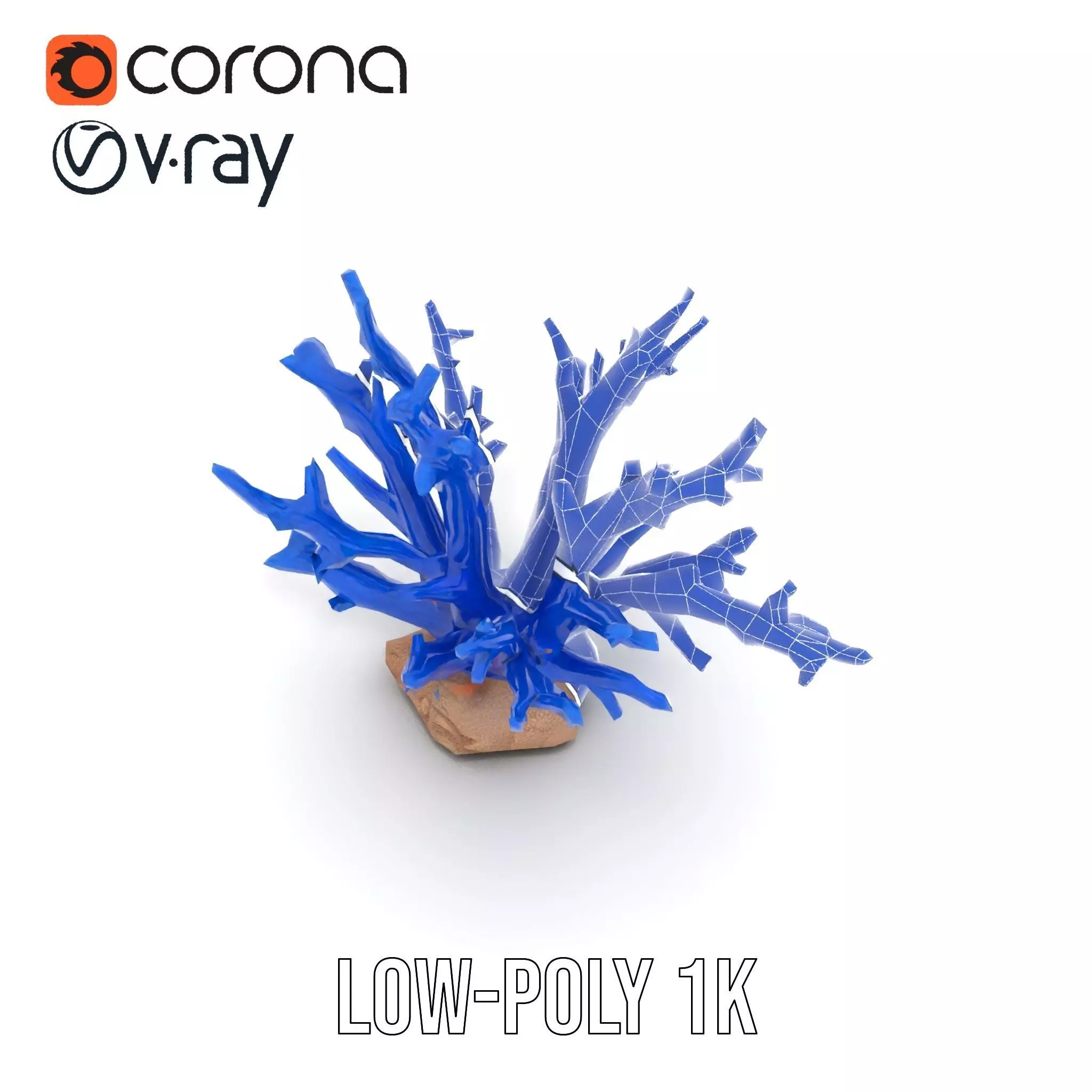 Azure Coral Branch model pack Low-poly 3D model_25