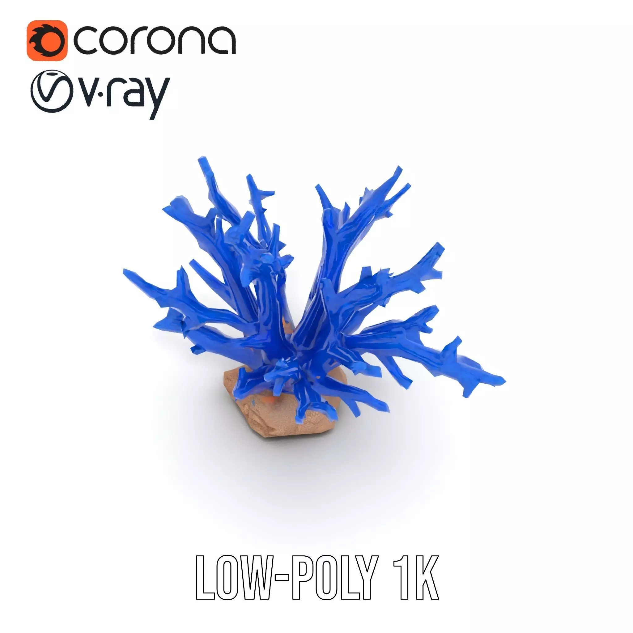 Azure Coral Branch model pack Low-poly 3D model_17