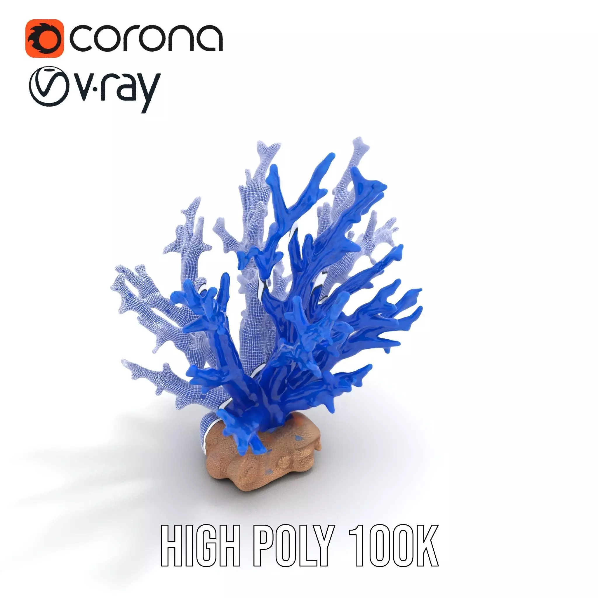 Azure Coral Branch model pack Low-poly 3D model_33