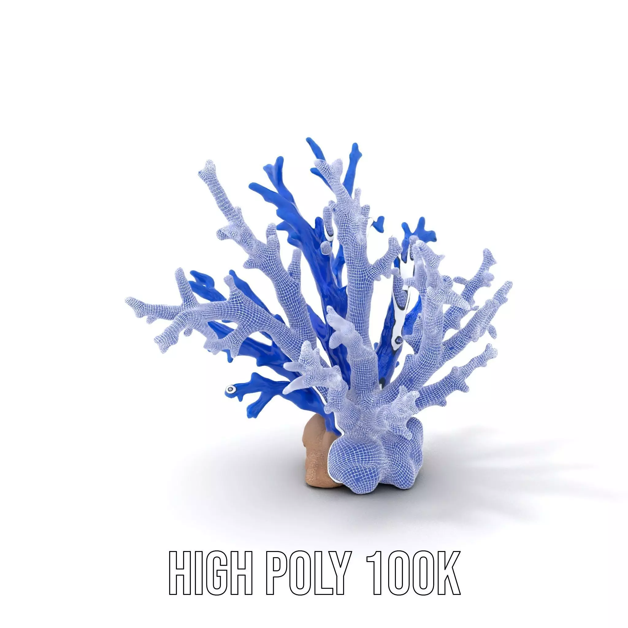 Azure Coral Branch model pack Low-poly 3D model_4