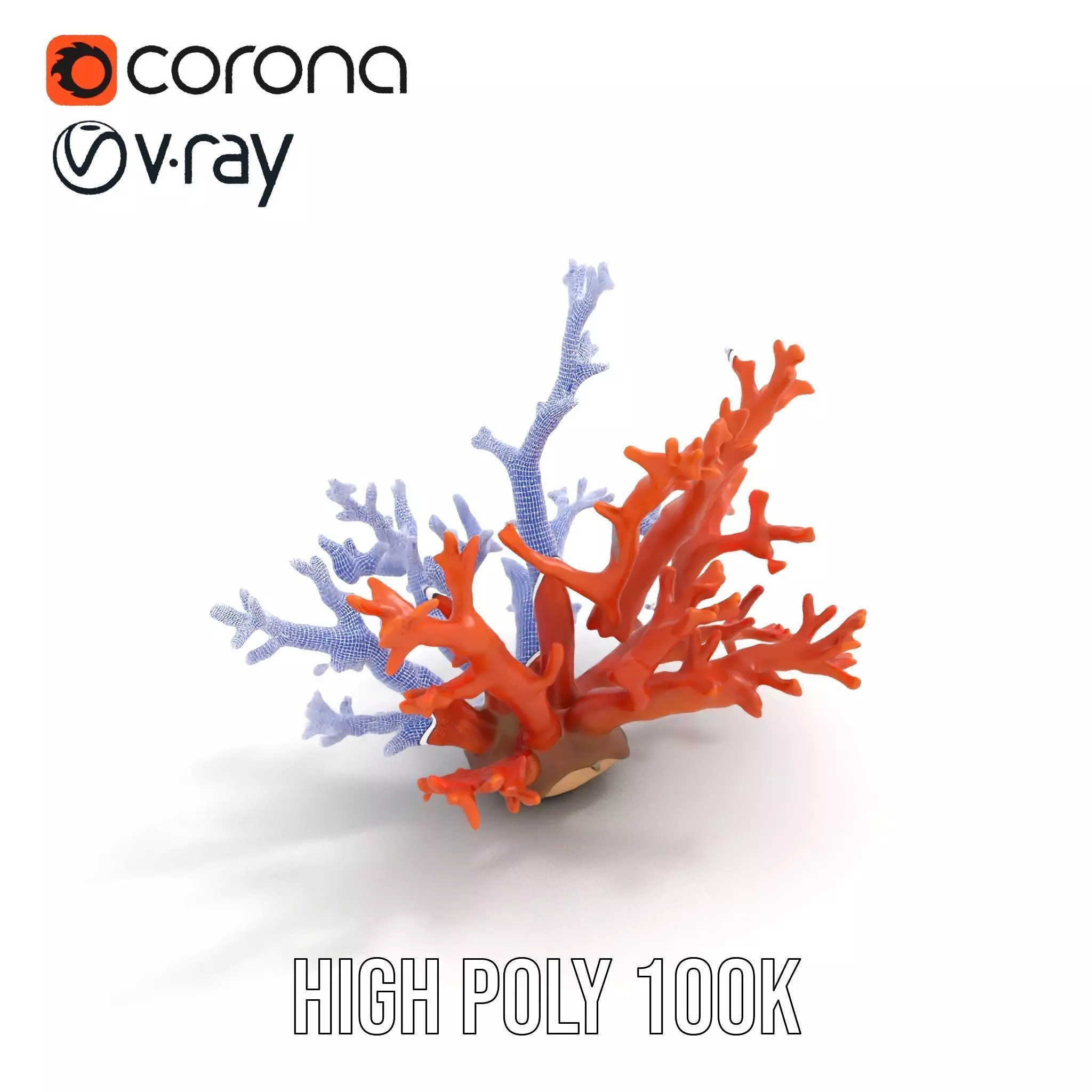 Vibrant Coral Reef model pack Low-poly 3D model_20