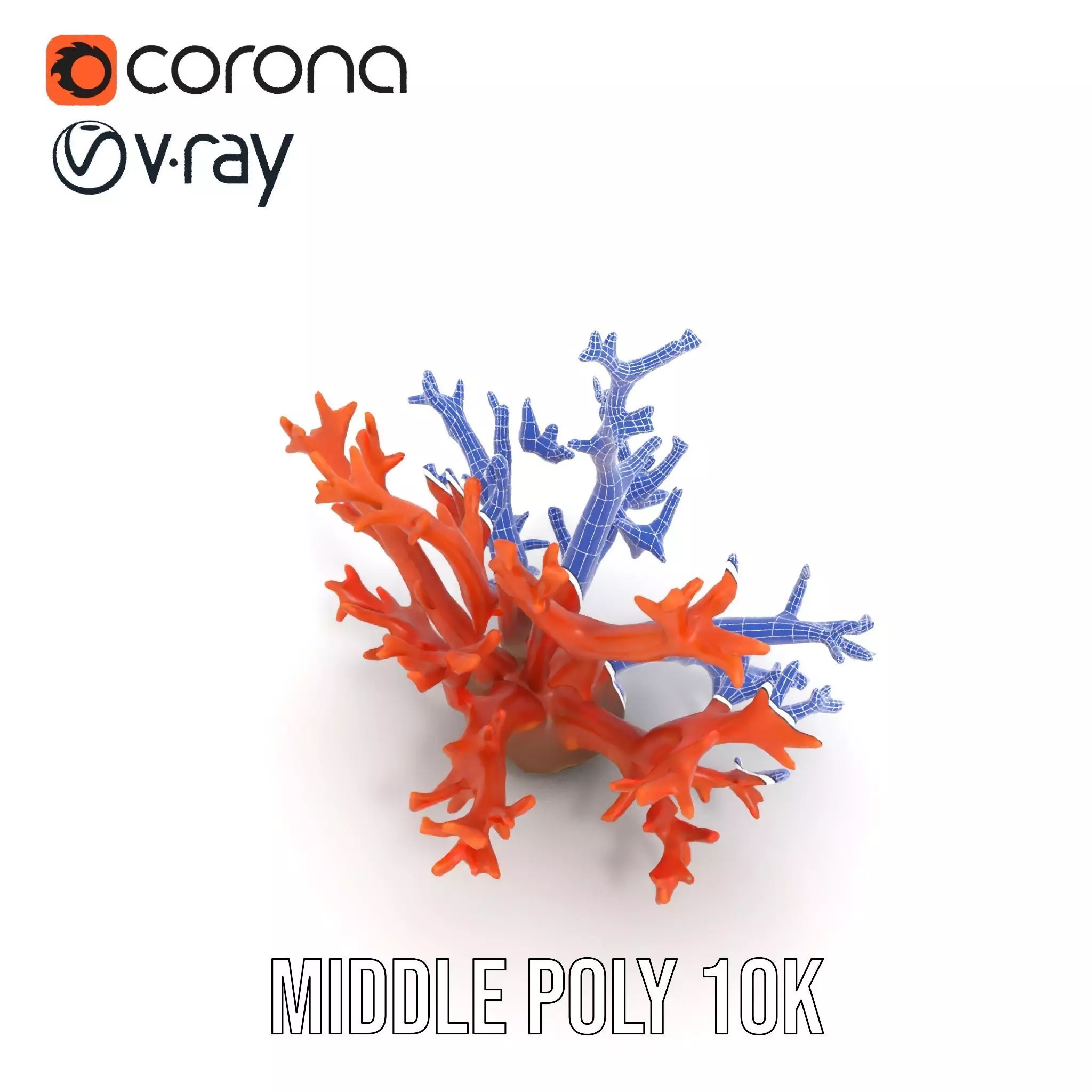 Vibrant Coral Reef model pack Low-poly 3D model_27