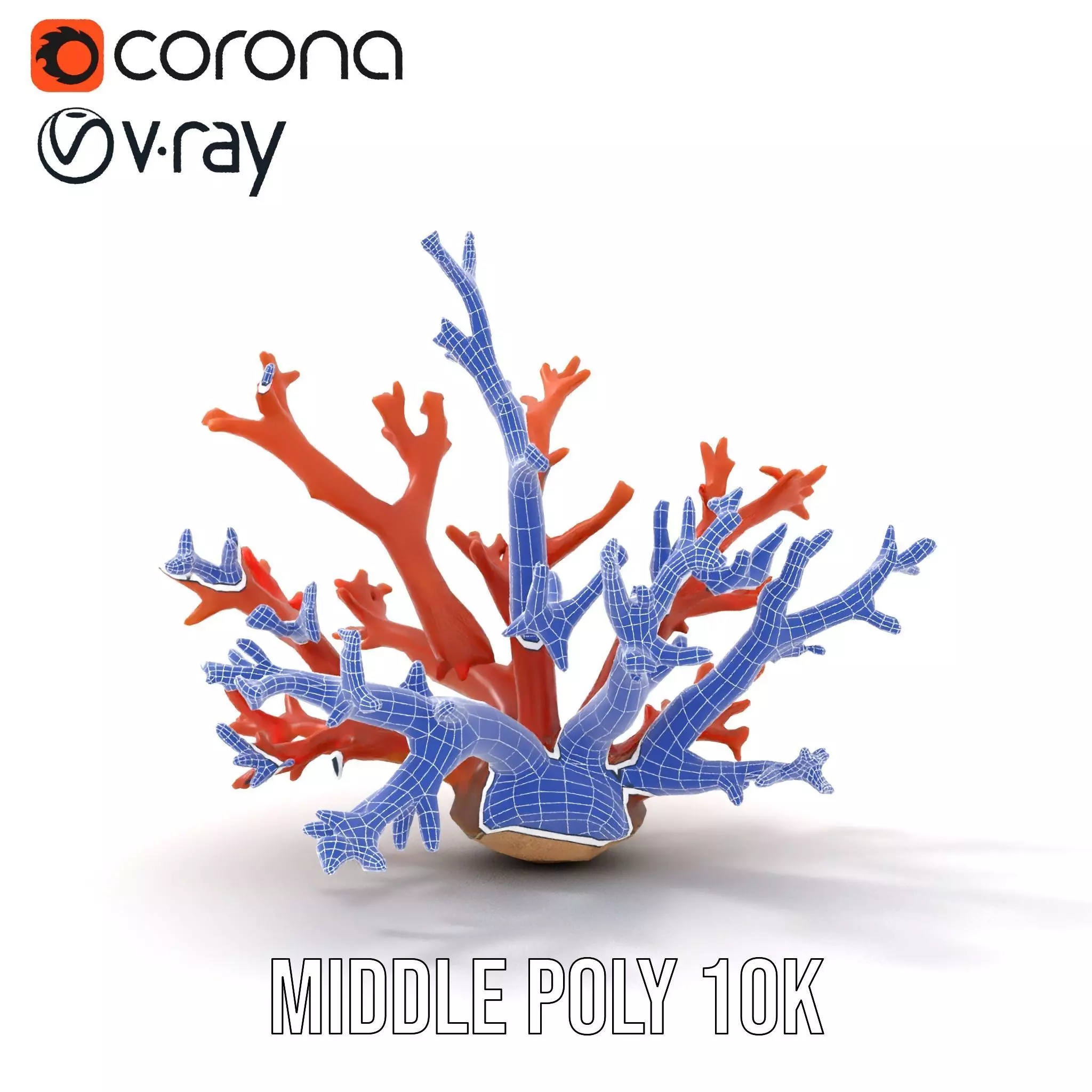 Vibrant Coral Reef model pack Low-poly 3D model_21