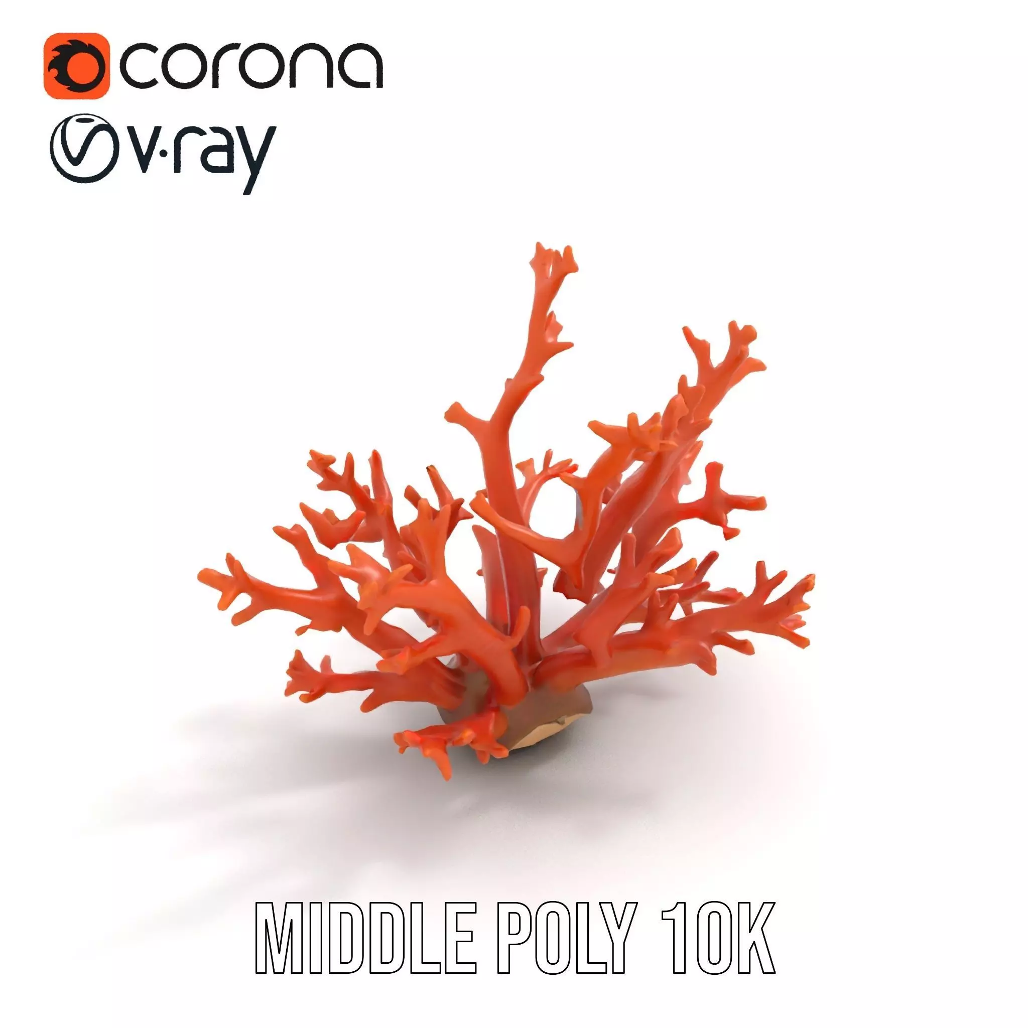 Vibrant Coral Reef model pack Low-poly 3D model_5
