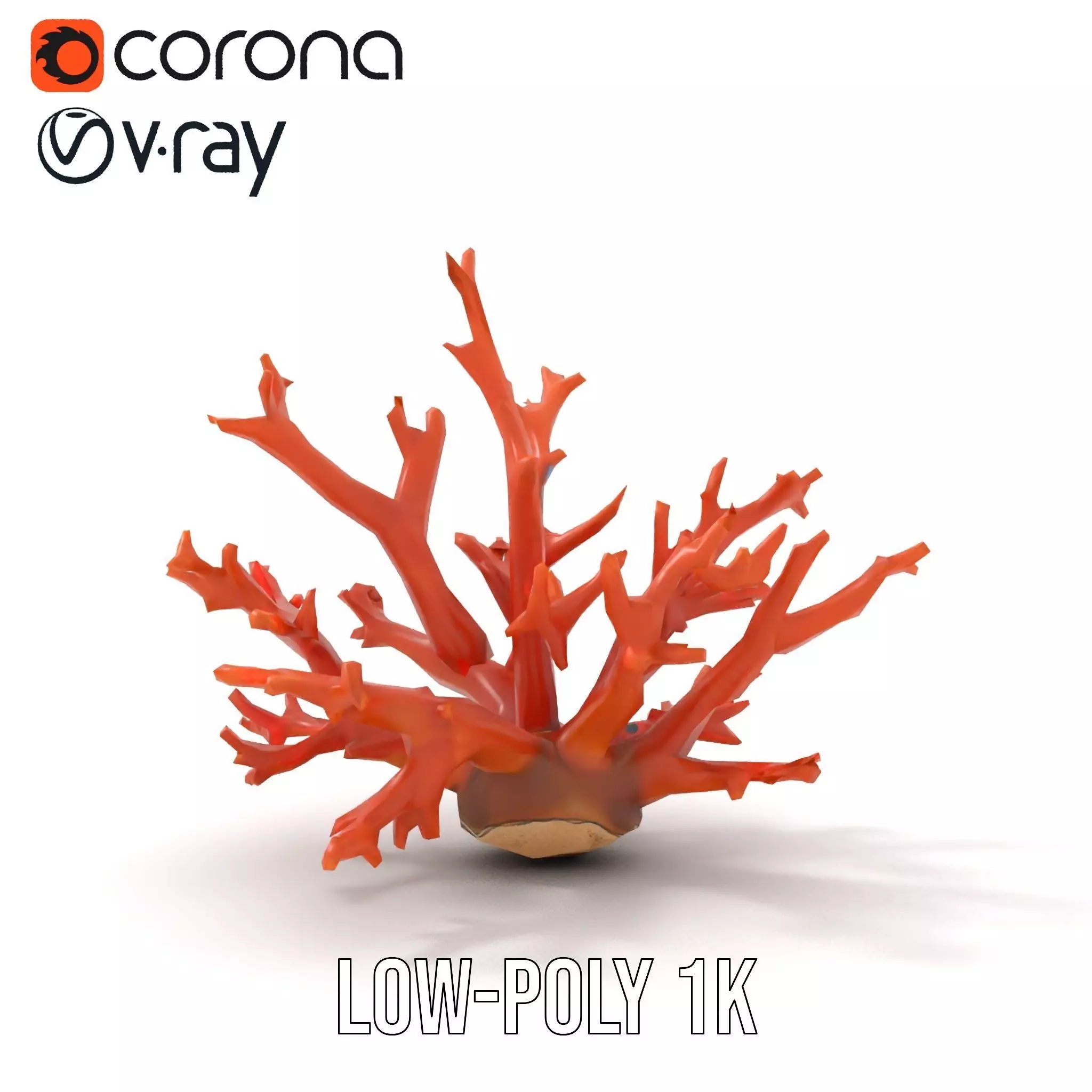 Vibrant Coral Reef model pack Low-poly 3D model_12