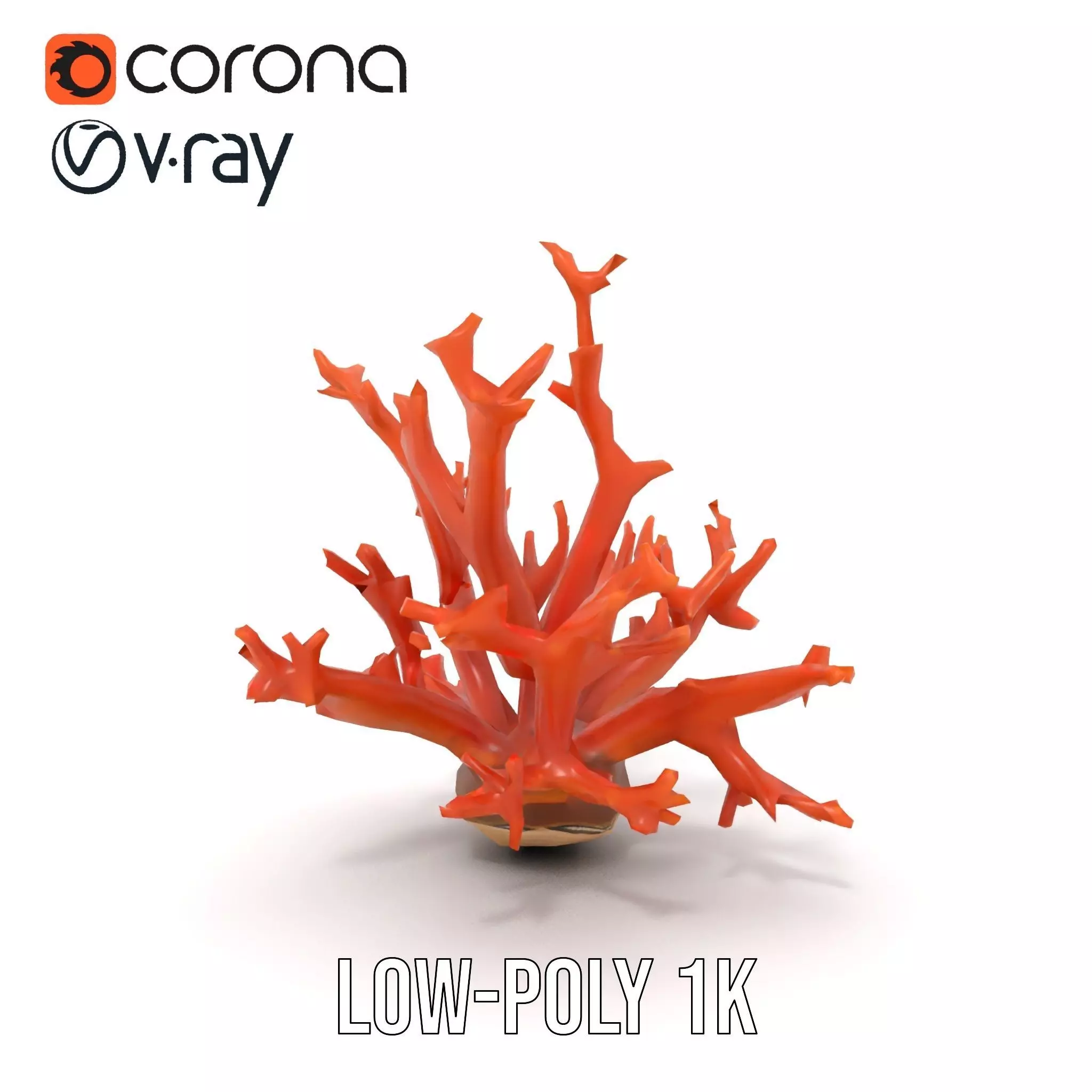 Vibrant Coral Reef model pack Low-poly 3D model_19