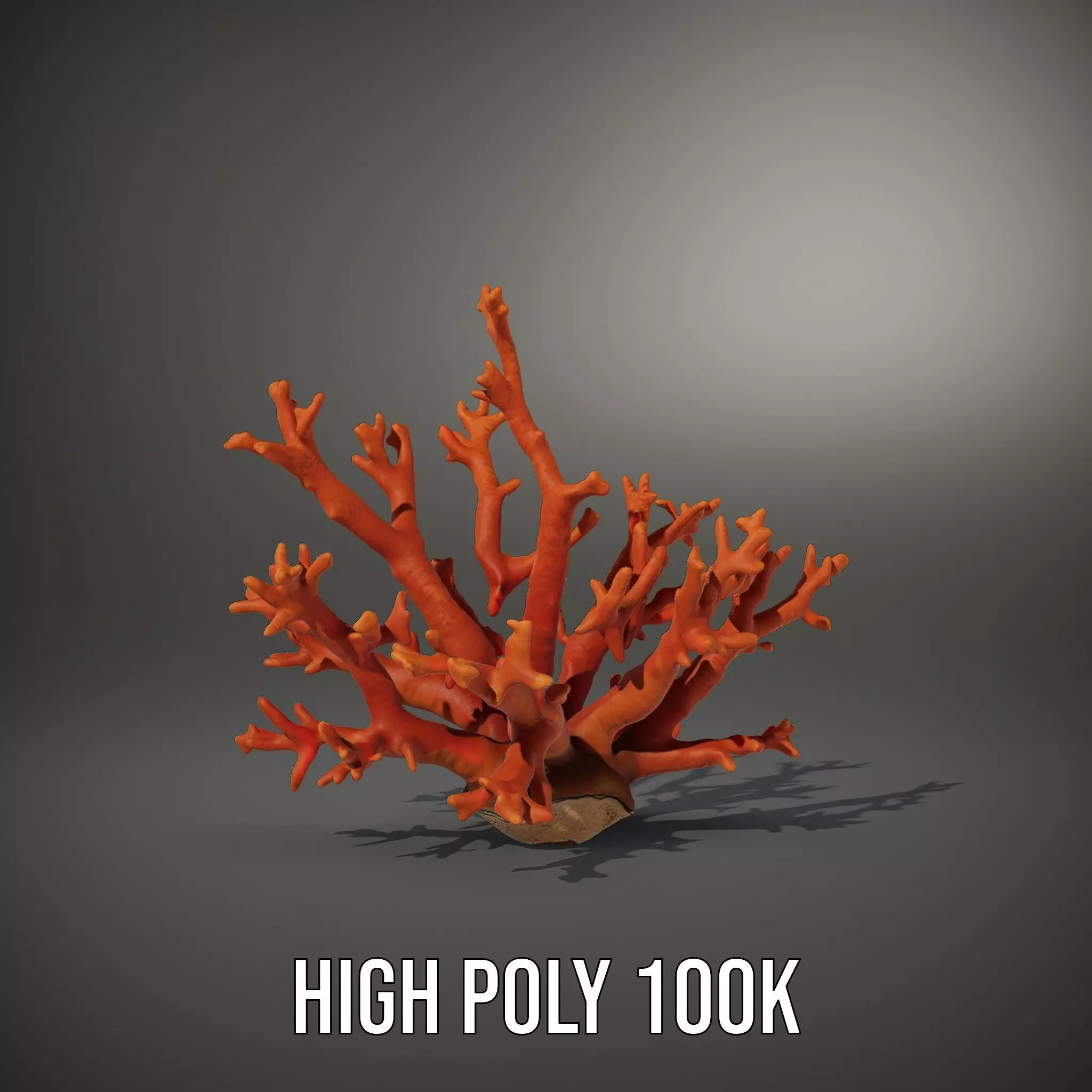 Vibrant Coral Reef model pack Low-poly 3D model_8