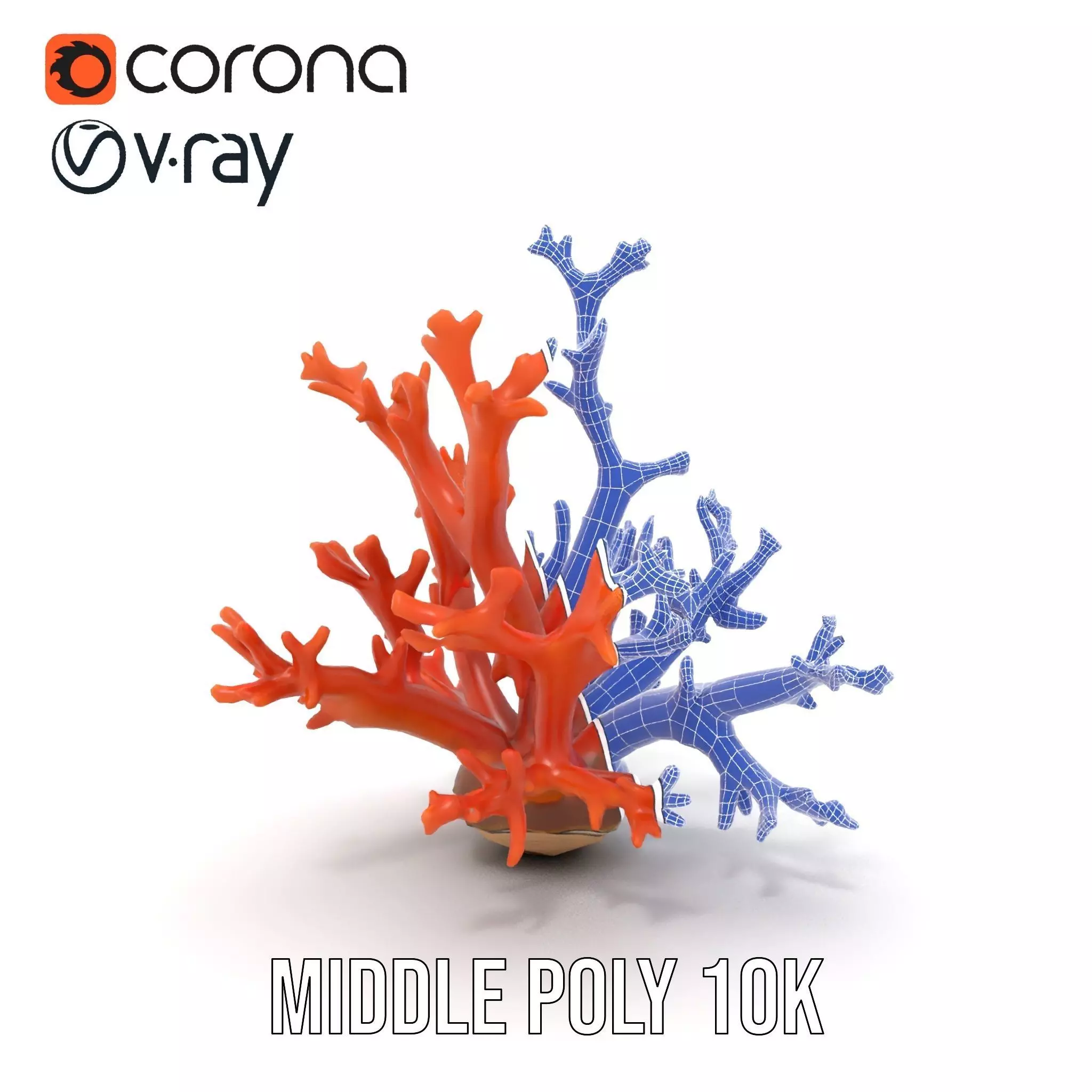 Vibrant Coral Reef model pack Low-poly 3D model_29