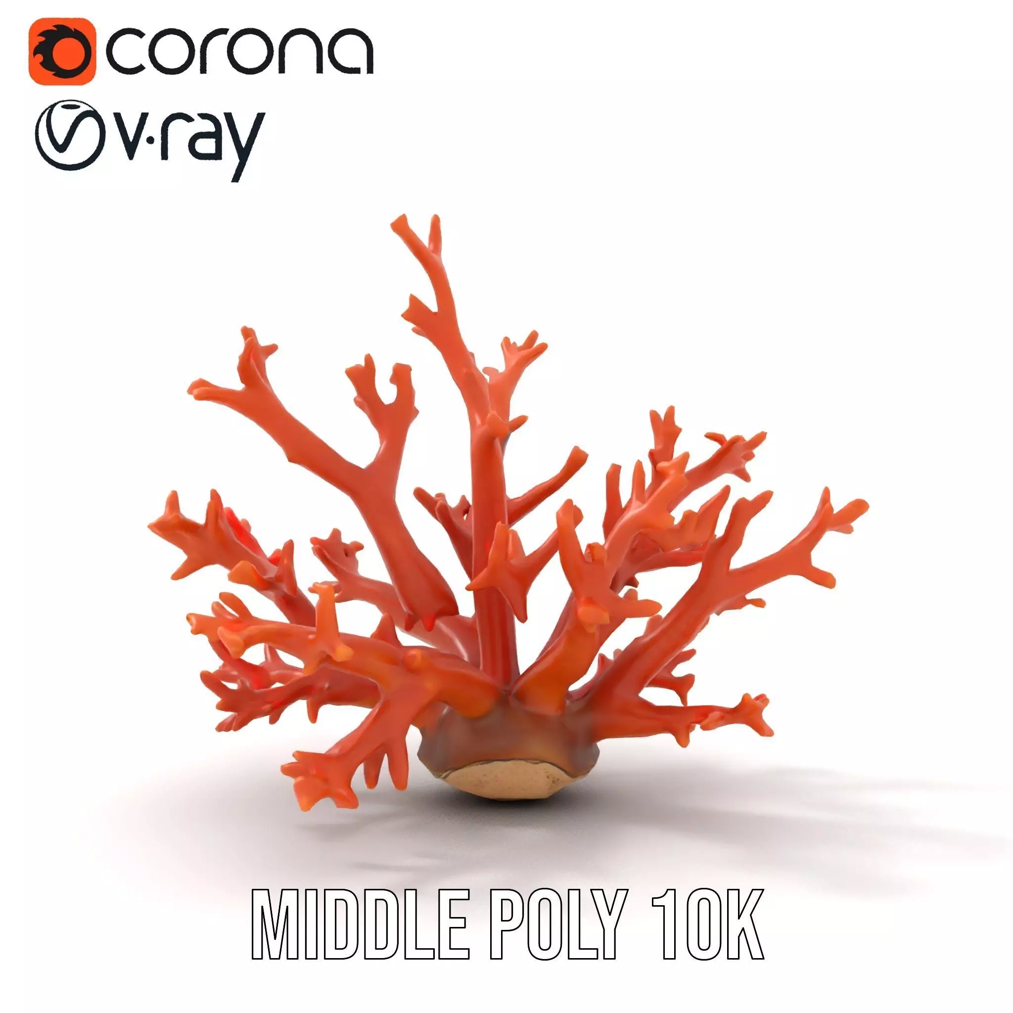 Vibrant Coral Reef model pack Low-poly 3D model_13