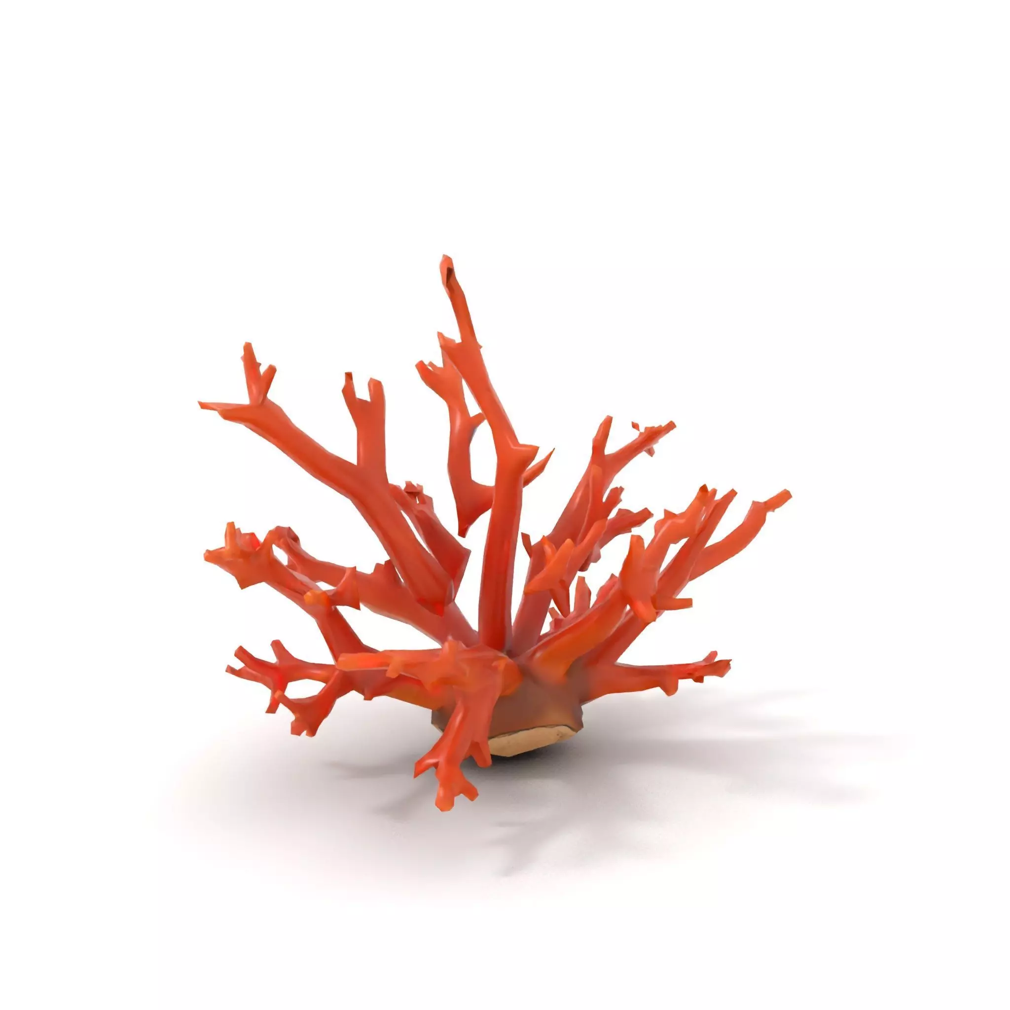 Vibrant Coral Reef model pack Low-poly 3D model_14
