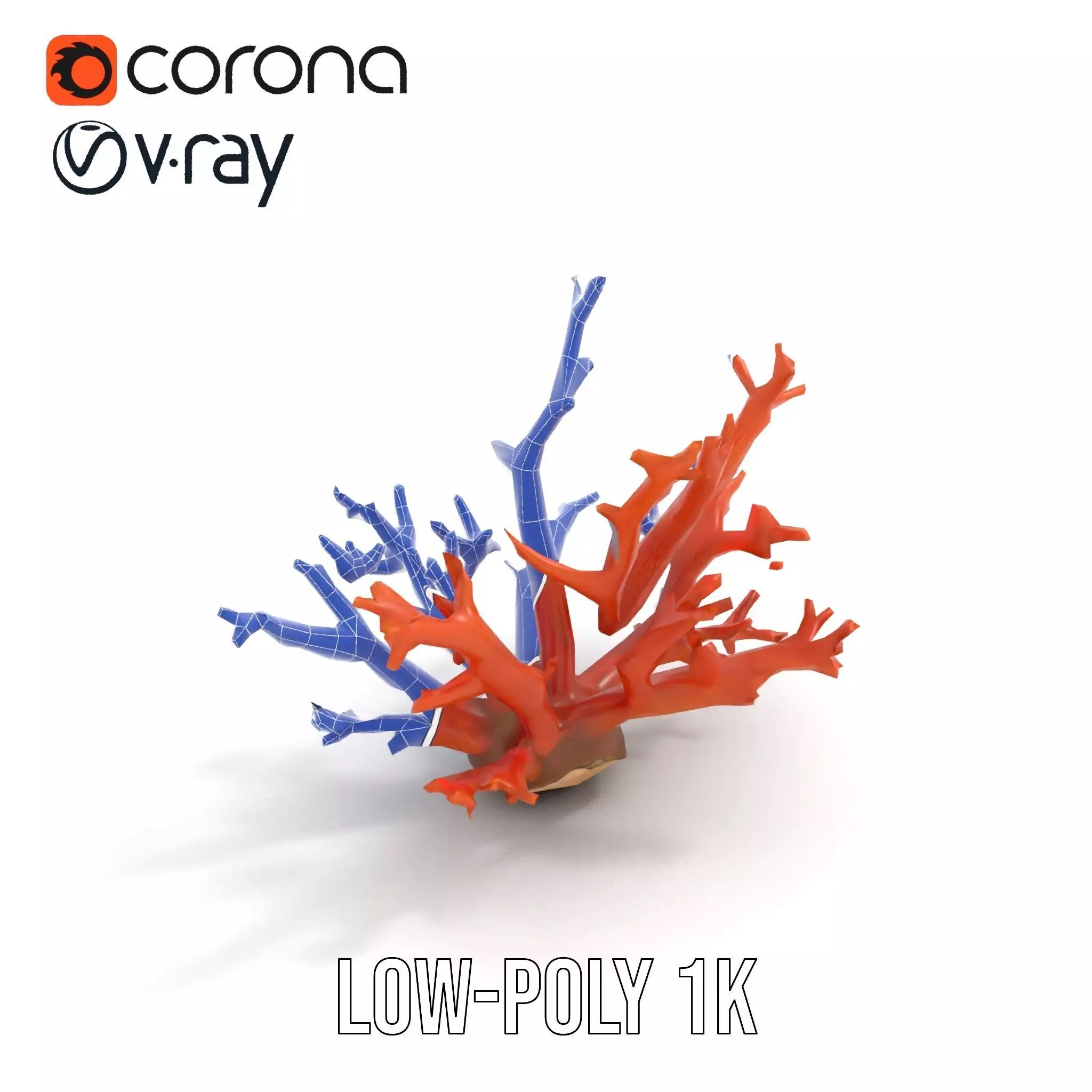 Vibrant Coral Reef model pack Low-poly 3D model_16