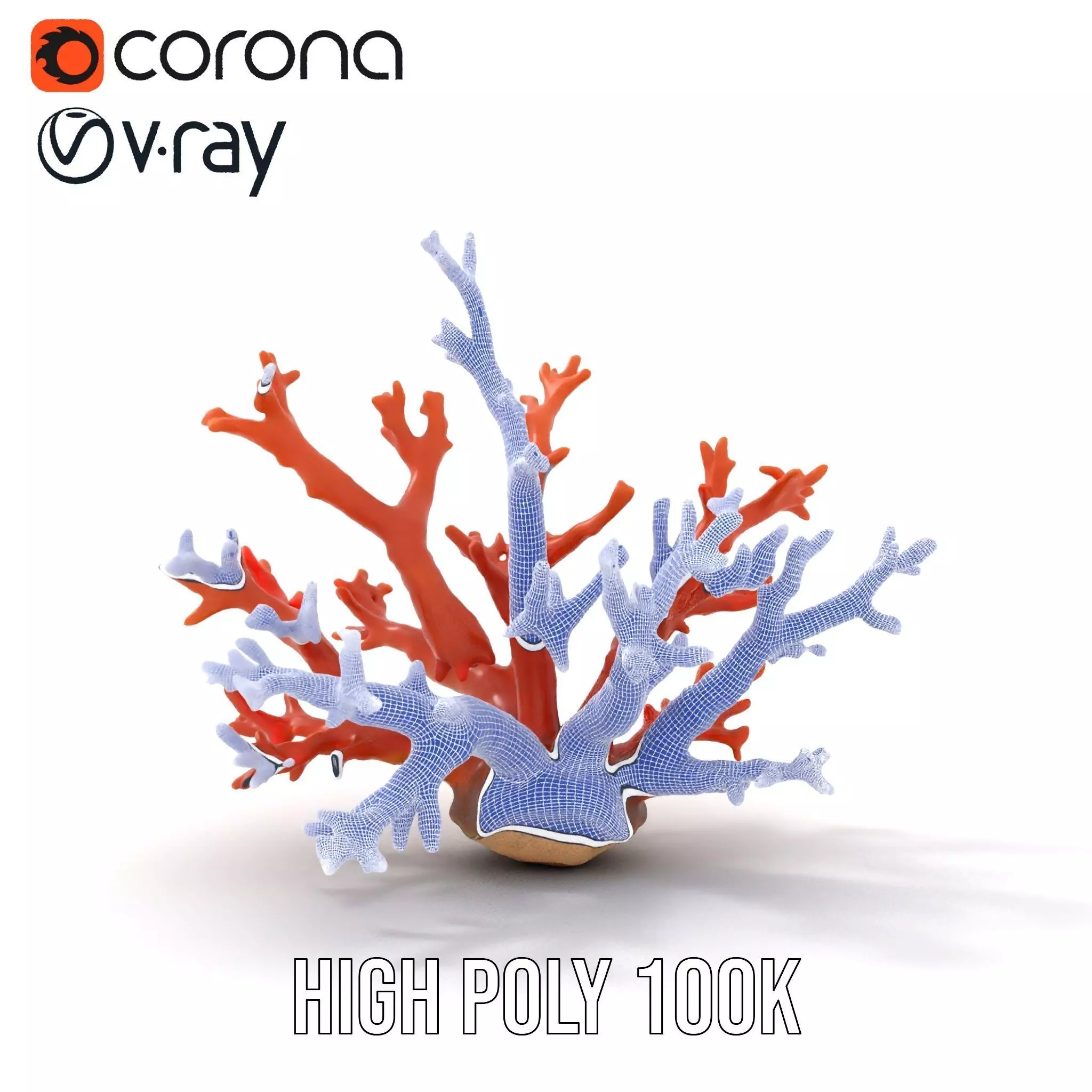 Vibrant Coral Reef model pack Low-poly 3D model_33