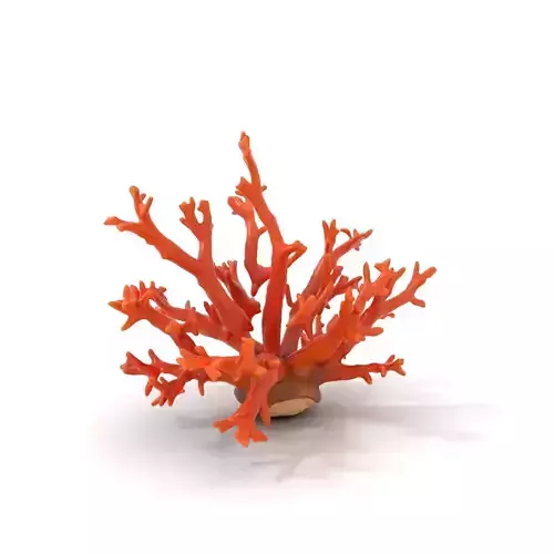 Vibrant Coral Reef model pack Low-poly 3D model
