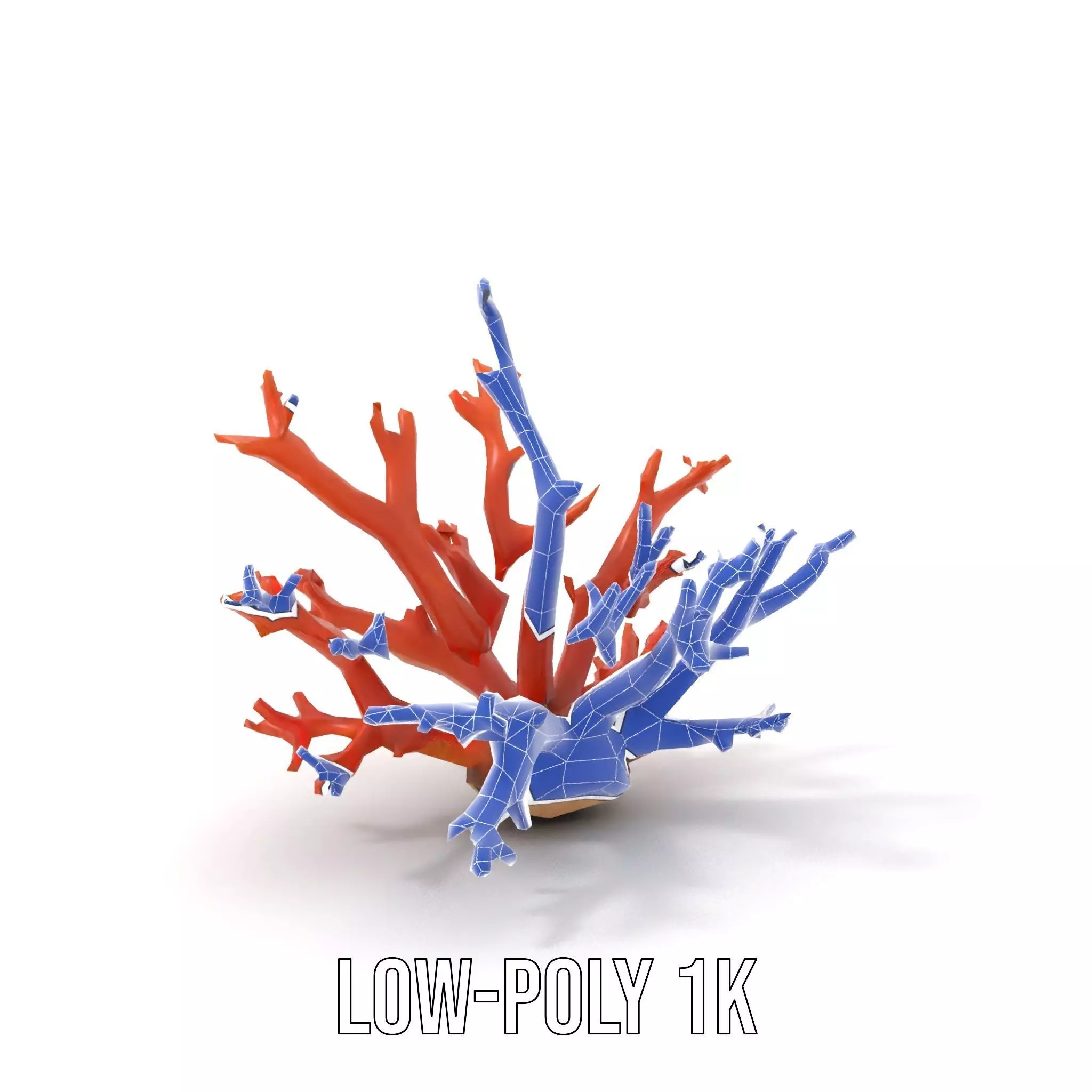 Vibrant Coral Reef model pack Low-poly 3D model_7
