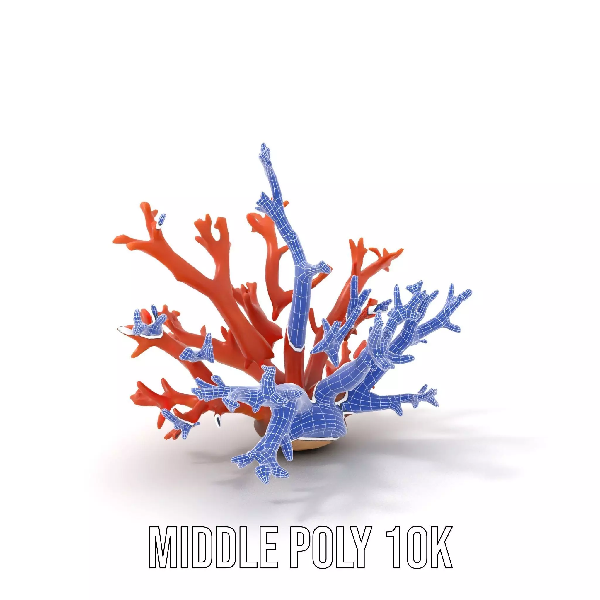 Vibrant Coral Reef model pack Low-poly 3D model_15