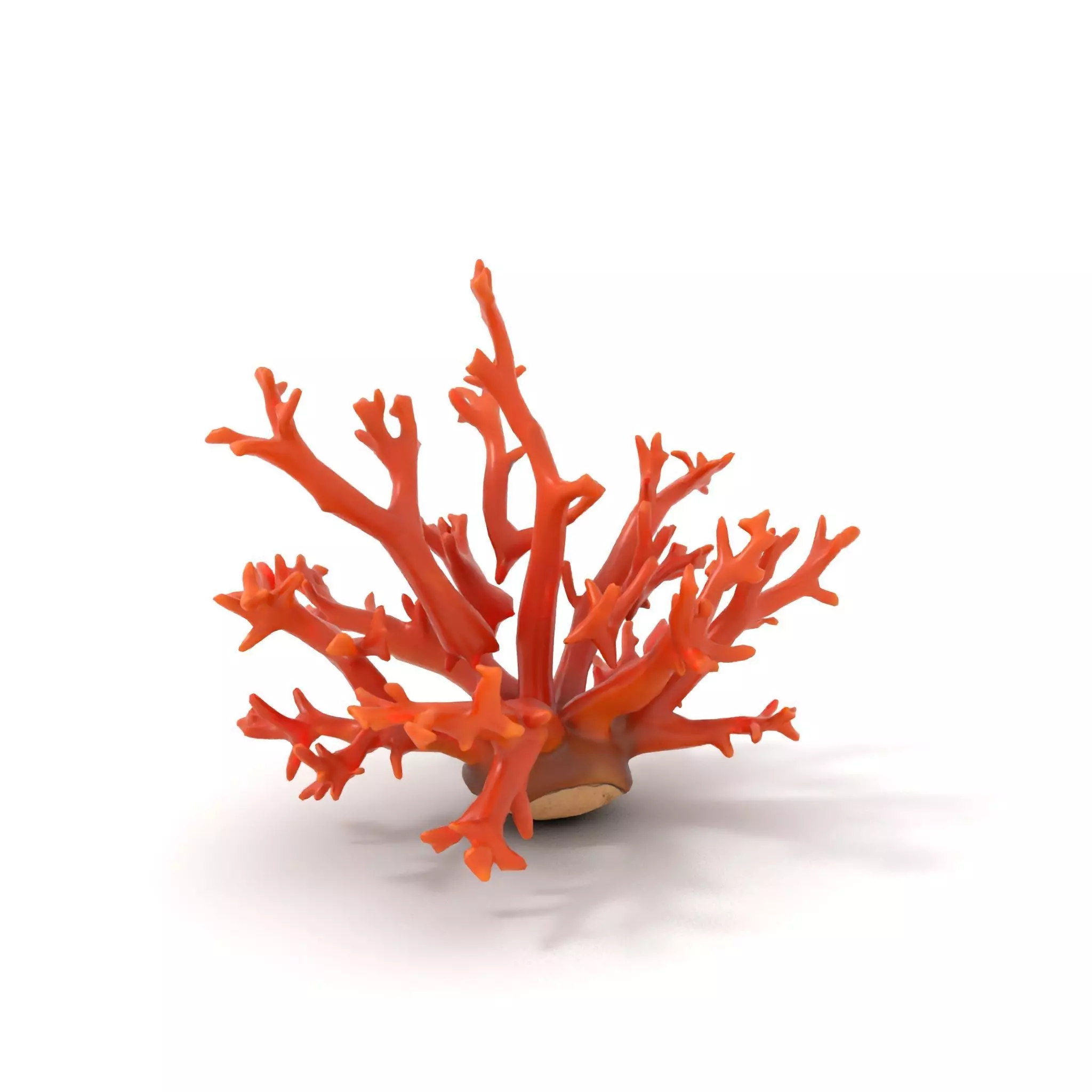 Vibrant Coral Reef model pack Low-poly 3D model_6