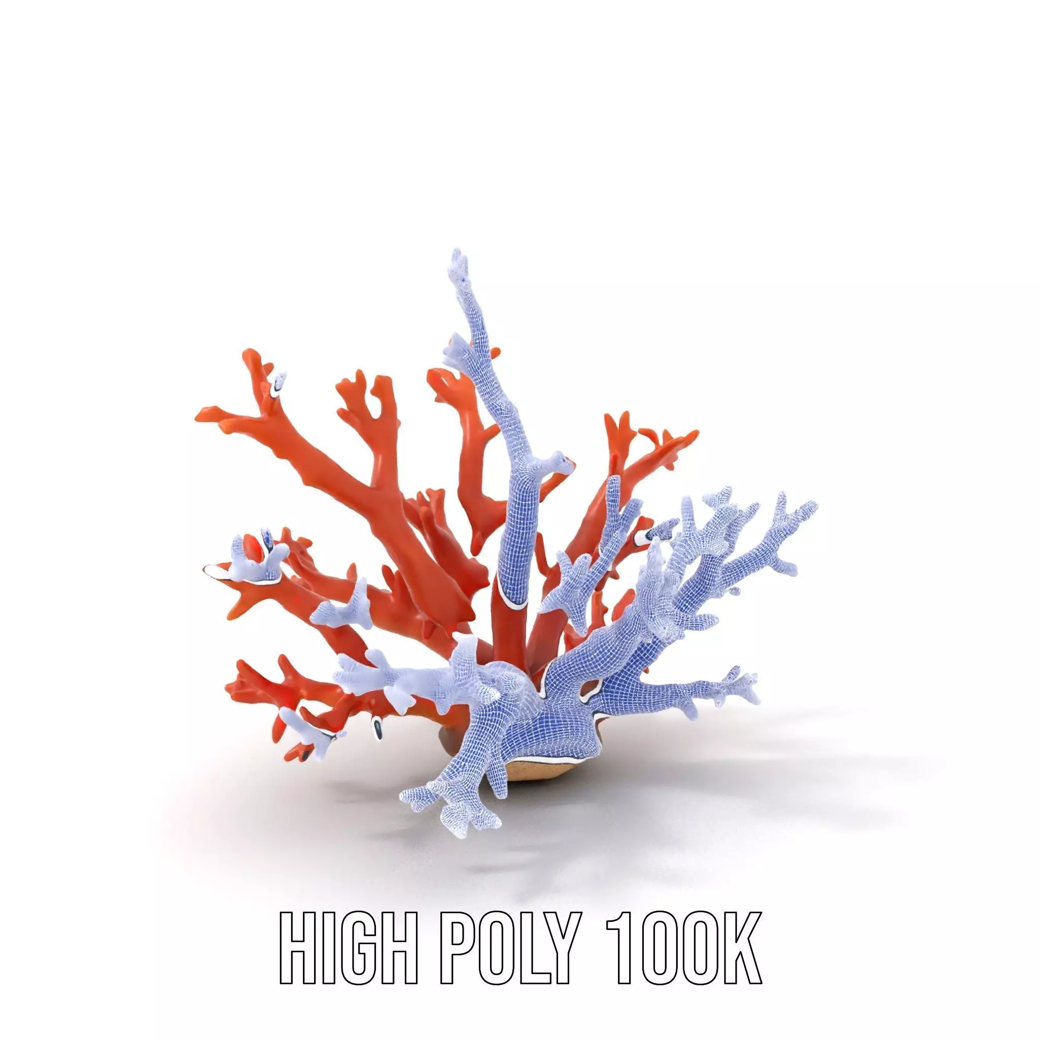Vibrant Coral Reef model pack Low-poly 3D model_4