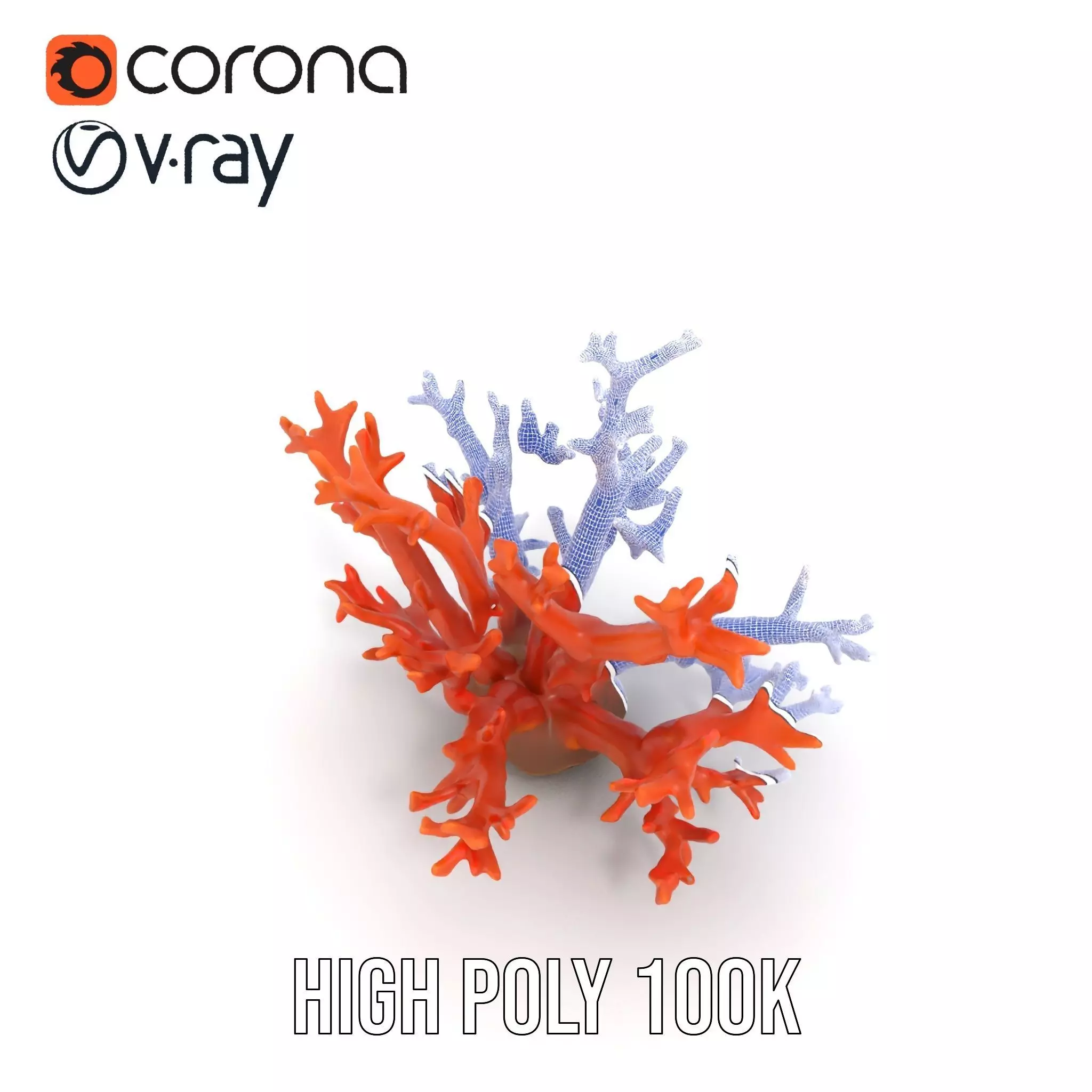 Vibrant Coral Reef model pack Low-poly 3D model_26