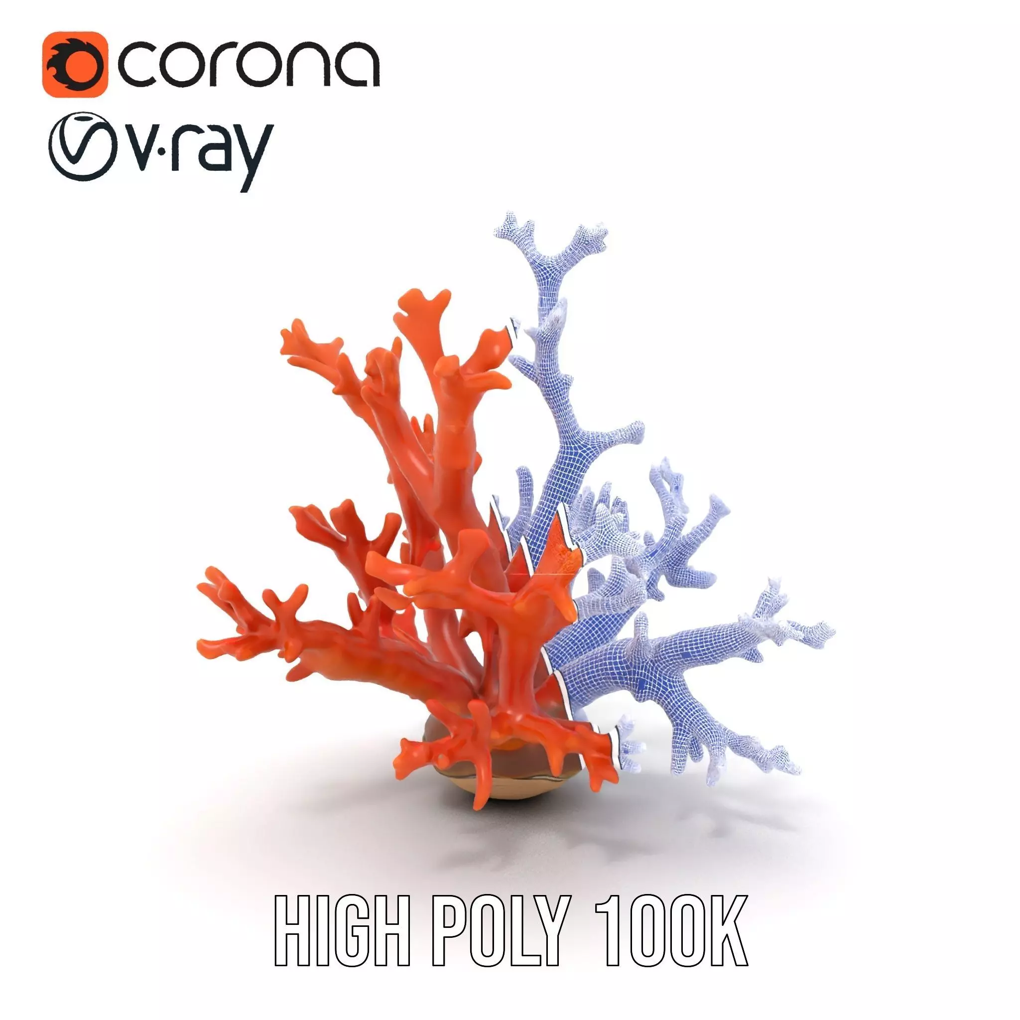 Vibrant Coral Reef model pack Low-poly 3D model_34