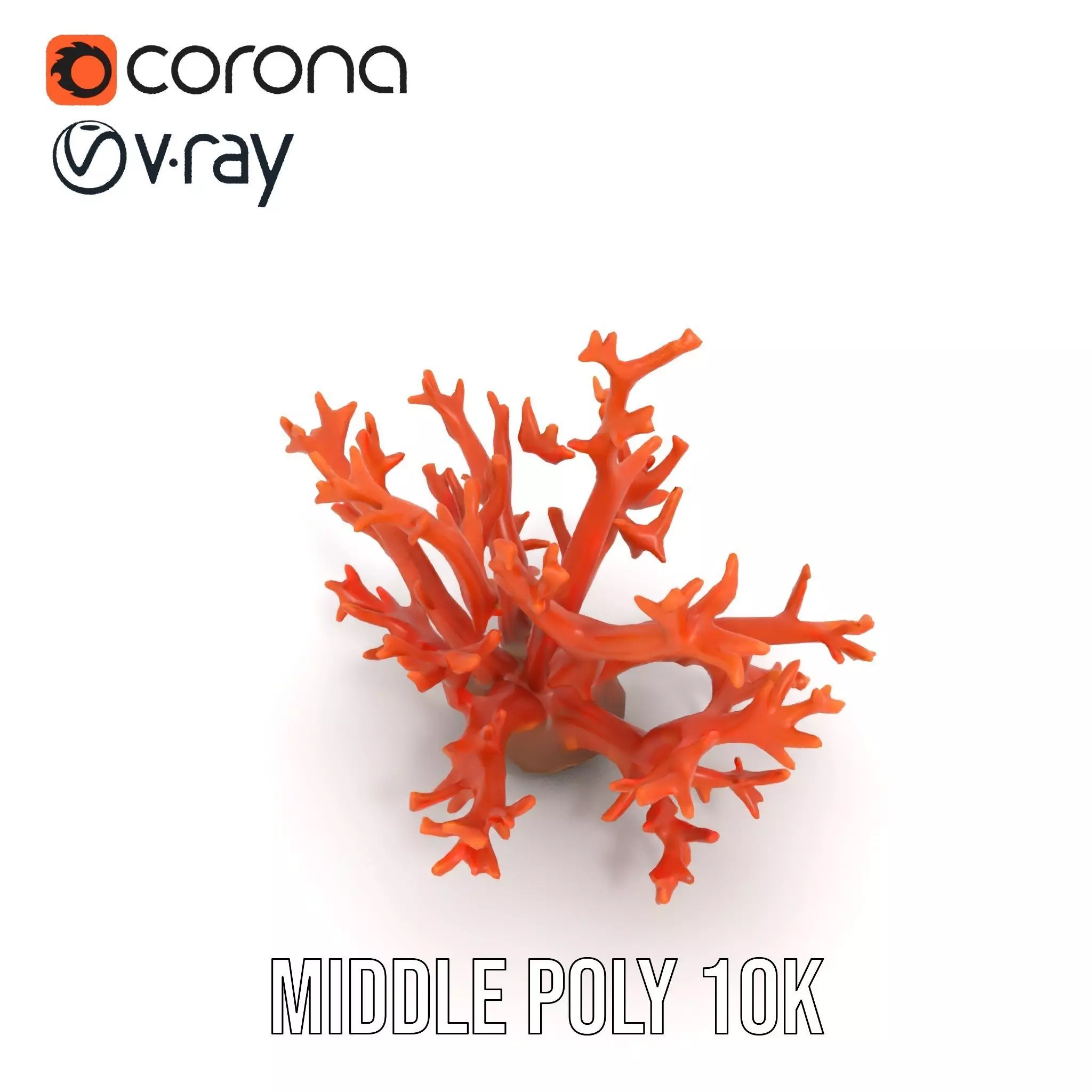 Vibrant Coral Reef model pack Low-poly 3D model_11