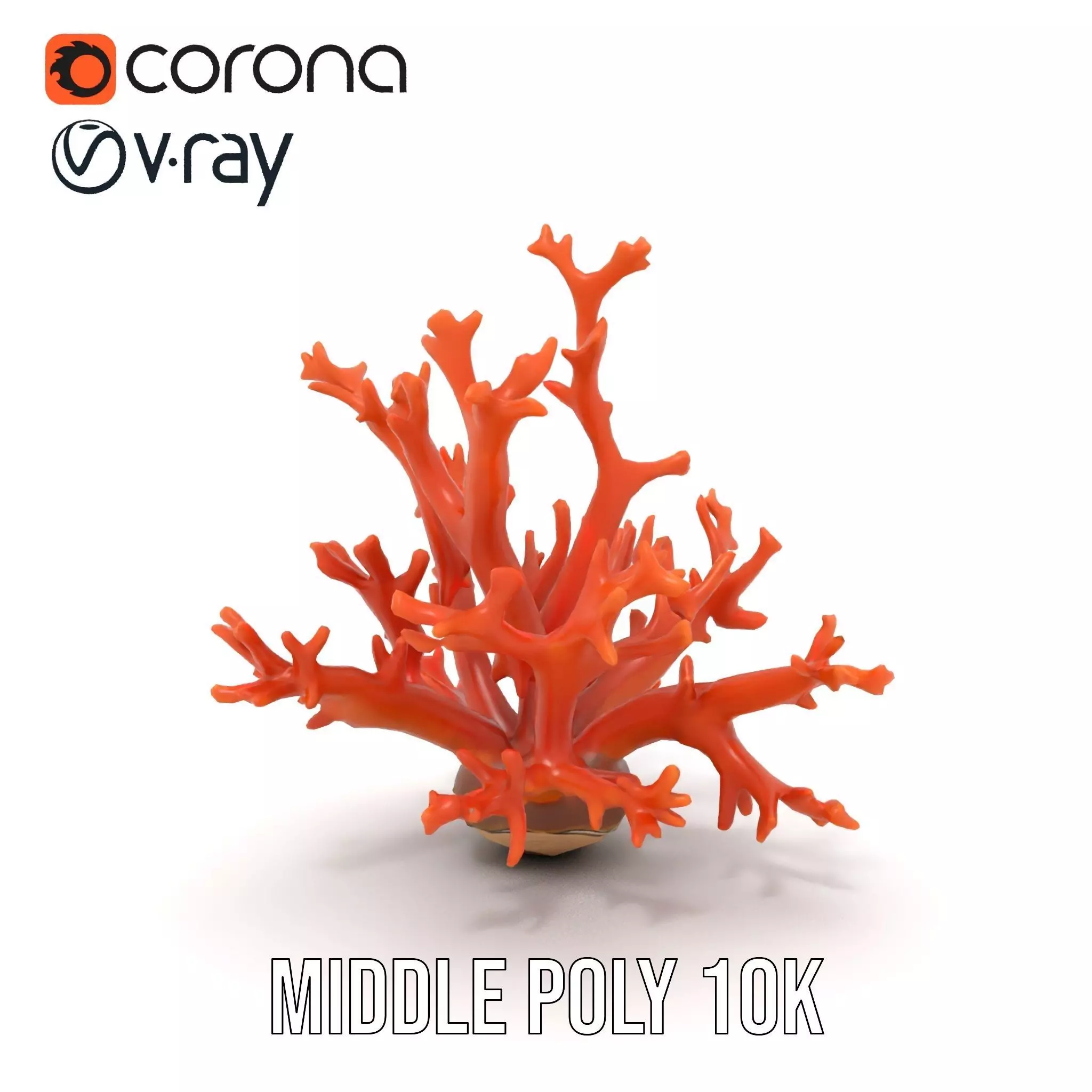 Vibrant Coral Reef model pack Low-poly 3D model_24
