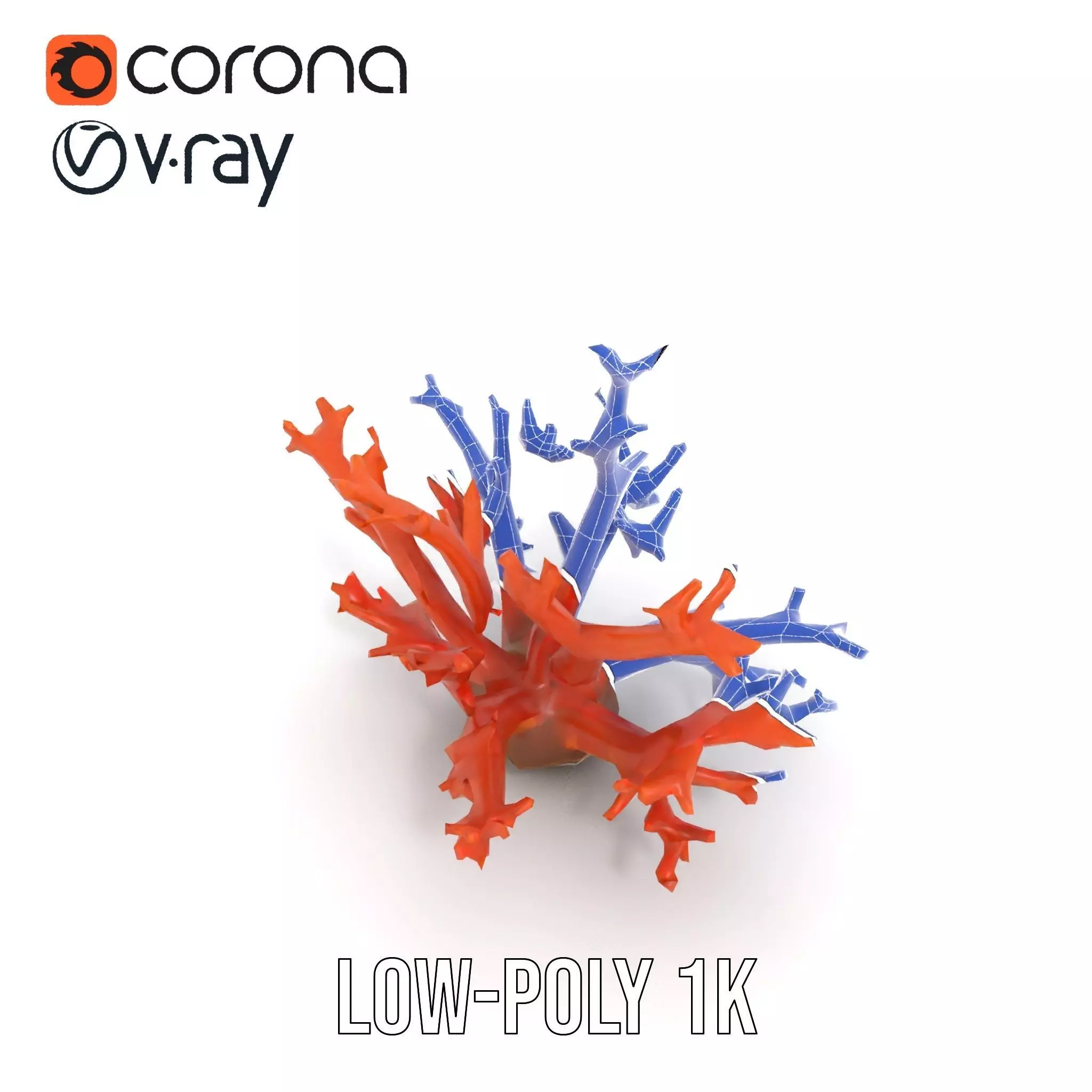 Vibrant Coral Reef model pack Low-poly 3D model_28