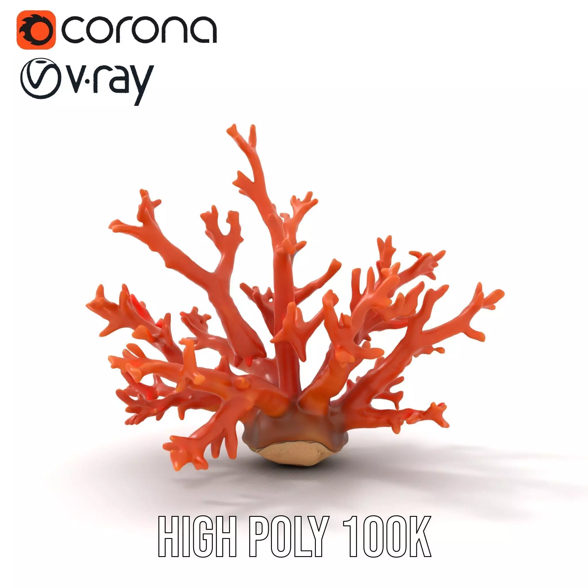 Vibrant Coral Reef model pack Low-poly 3D model_31