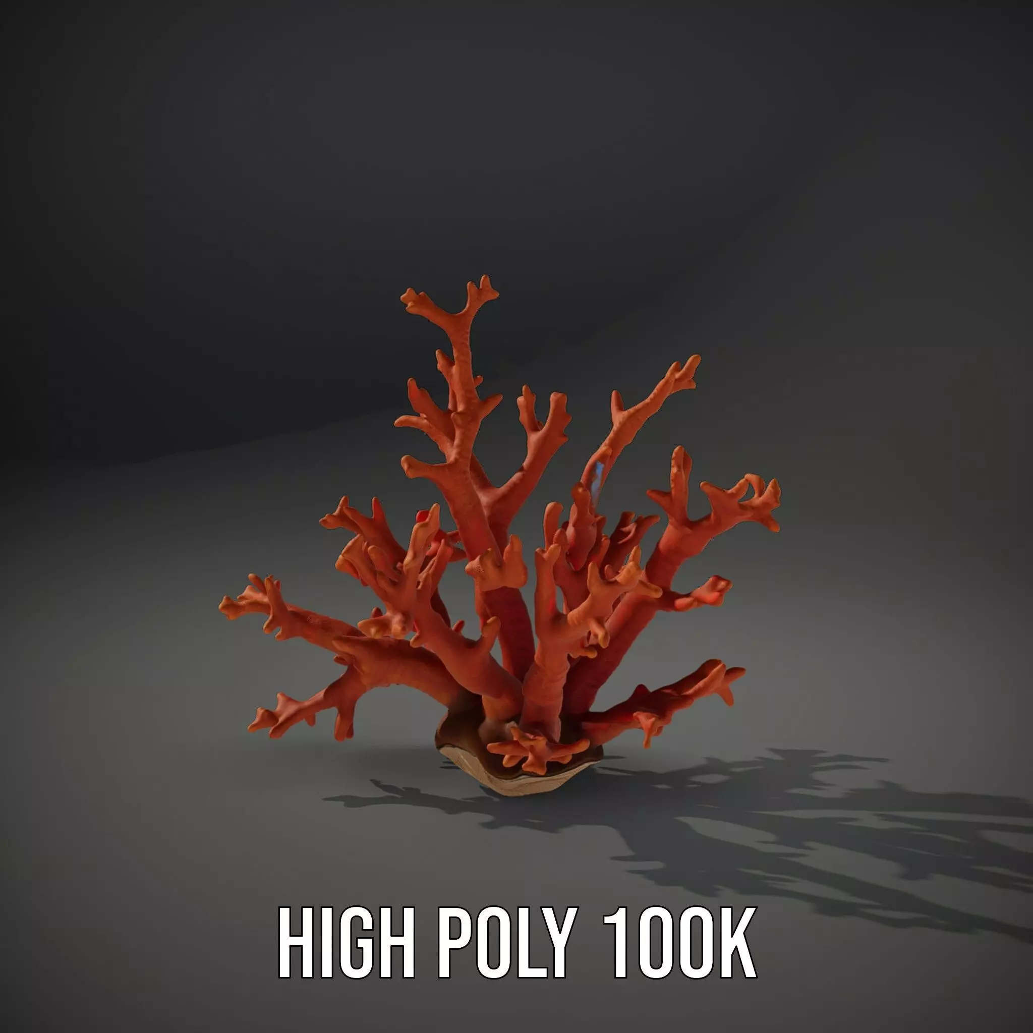 Vibrant Coral Reef model pack Low-poly 3D model_10
