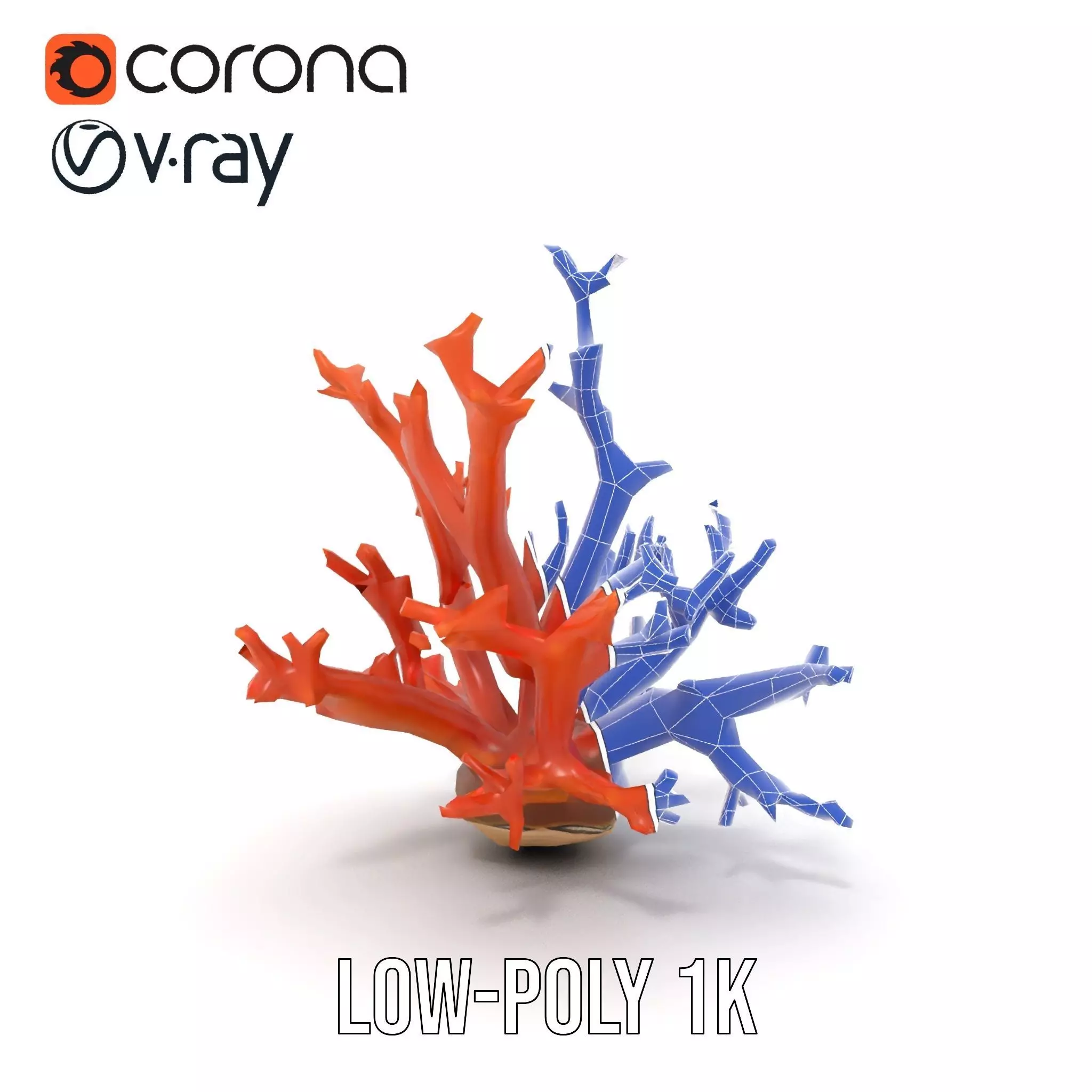Vibrant Coral Reef model pack Low-poly 3D model_30