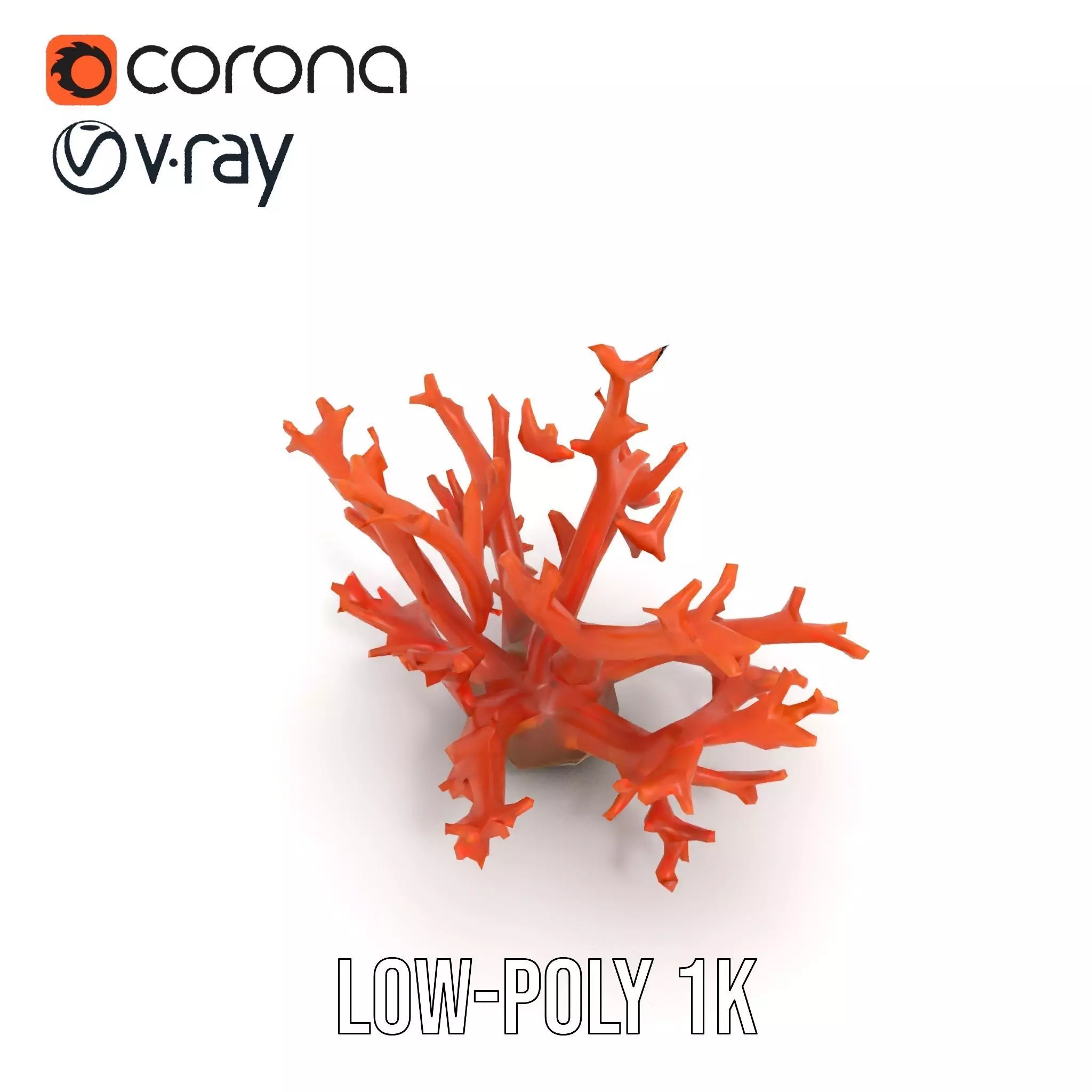 Vibrant Coral Reef model pack Low-poly 3D model_22