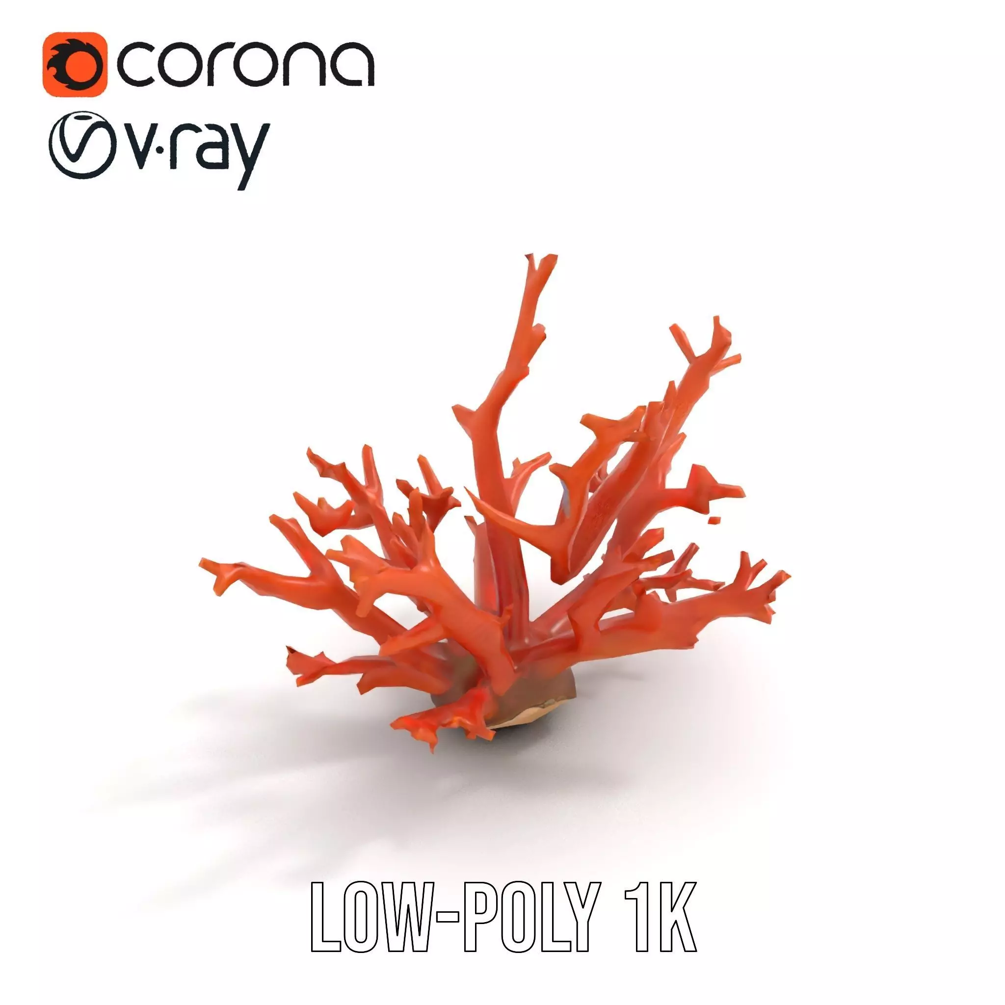 Vibrant Coral Reef model pack Low-poly 3D model_9