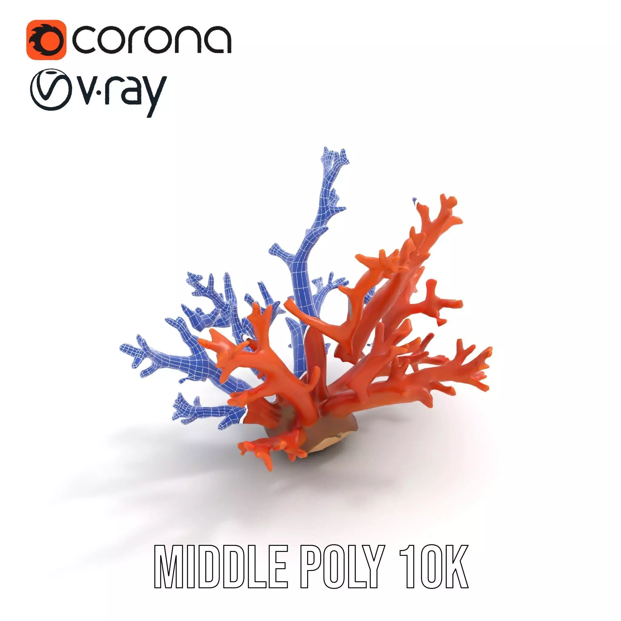 Vibrant Coral Reef model pack Low-poly 3D model_18