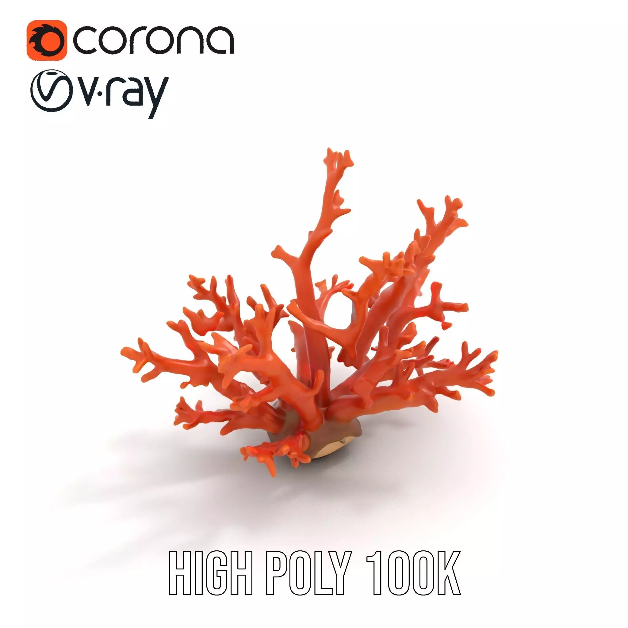 Vibrant Coral Reef model pack Low-poly 3D model_17
