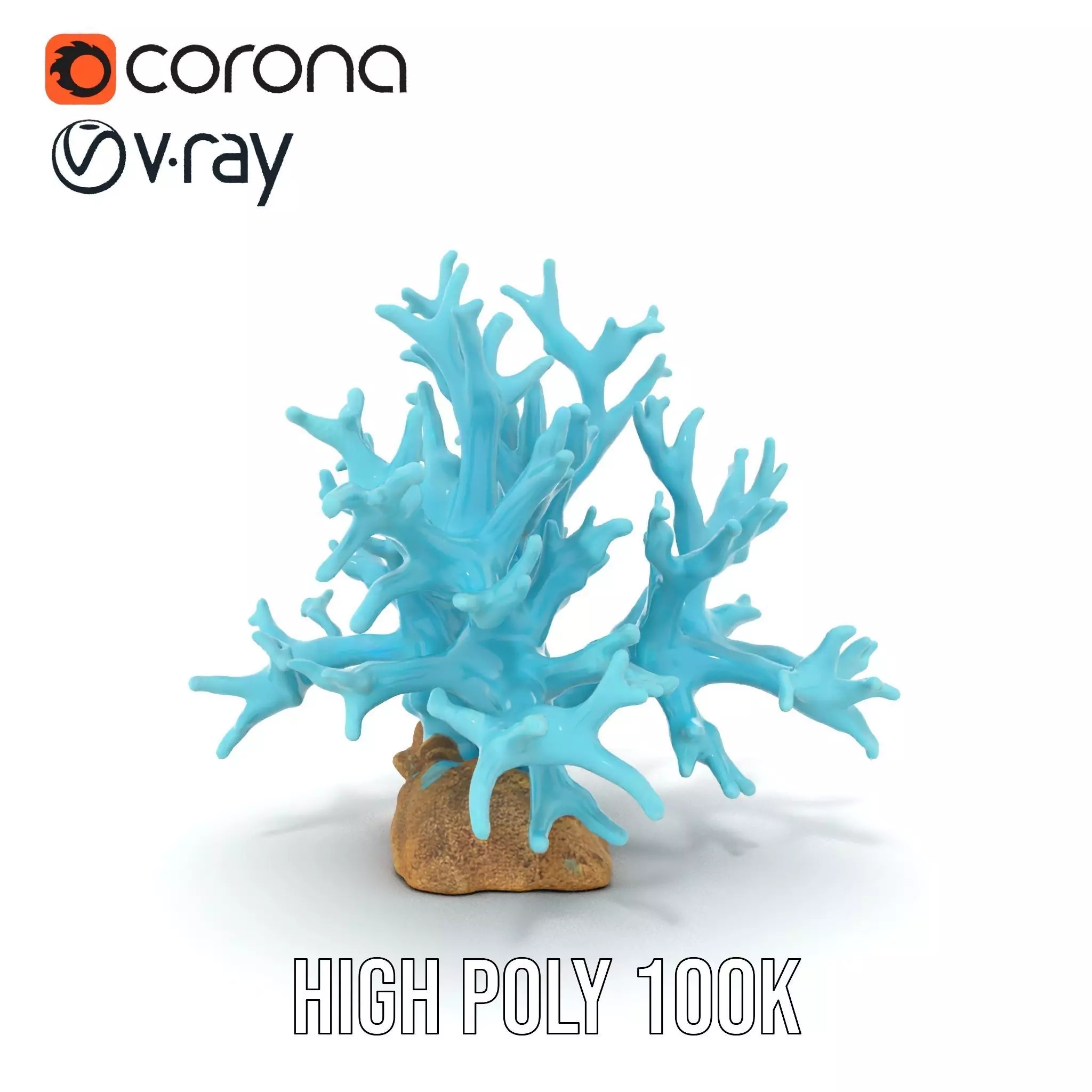 Turquoise Coral model pack Low-poly 3D model_22