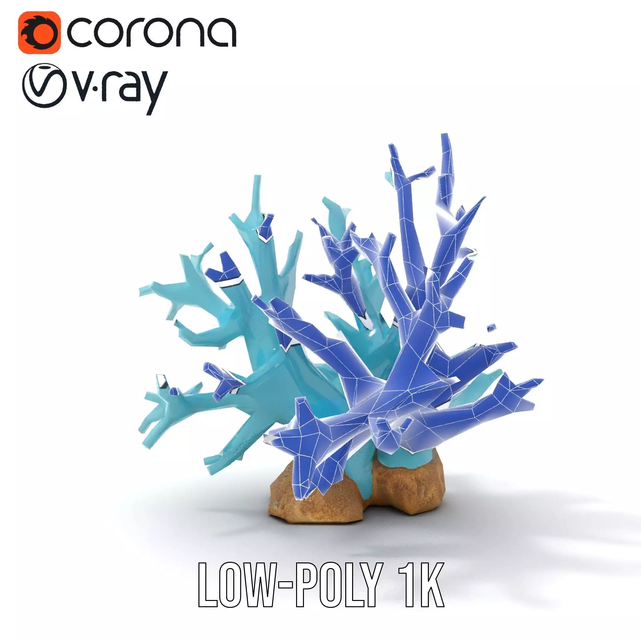 Turquoise Coral model pack Low-poly 3D model_30