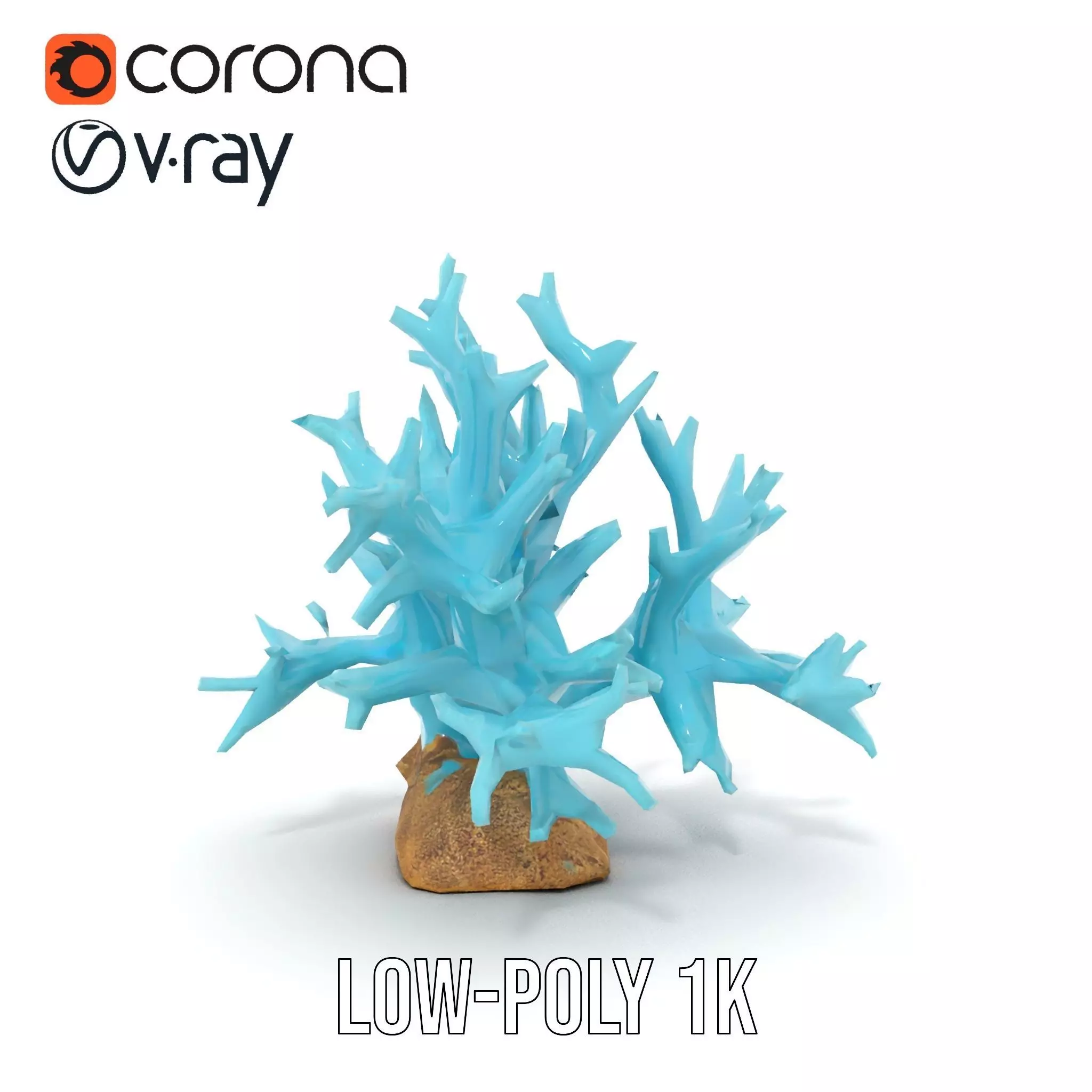 Turquoise Coral model pack Low-poly 3D model_27