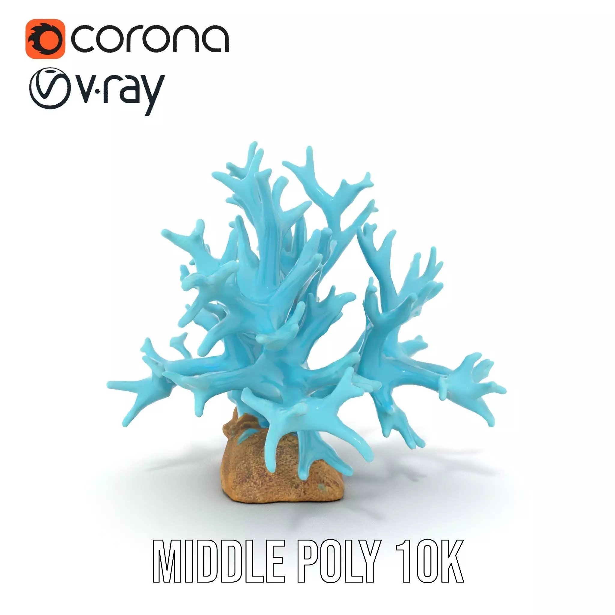 Turquoise Coral model pack Low-poly 3D model_20