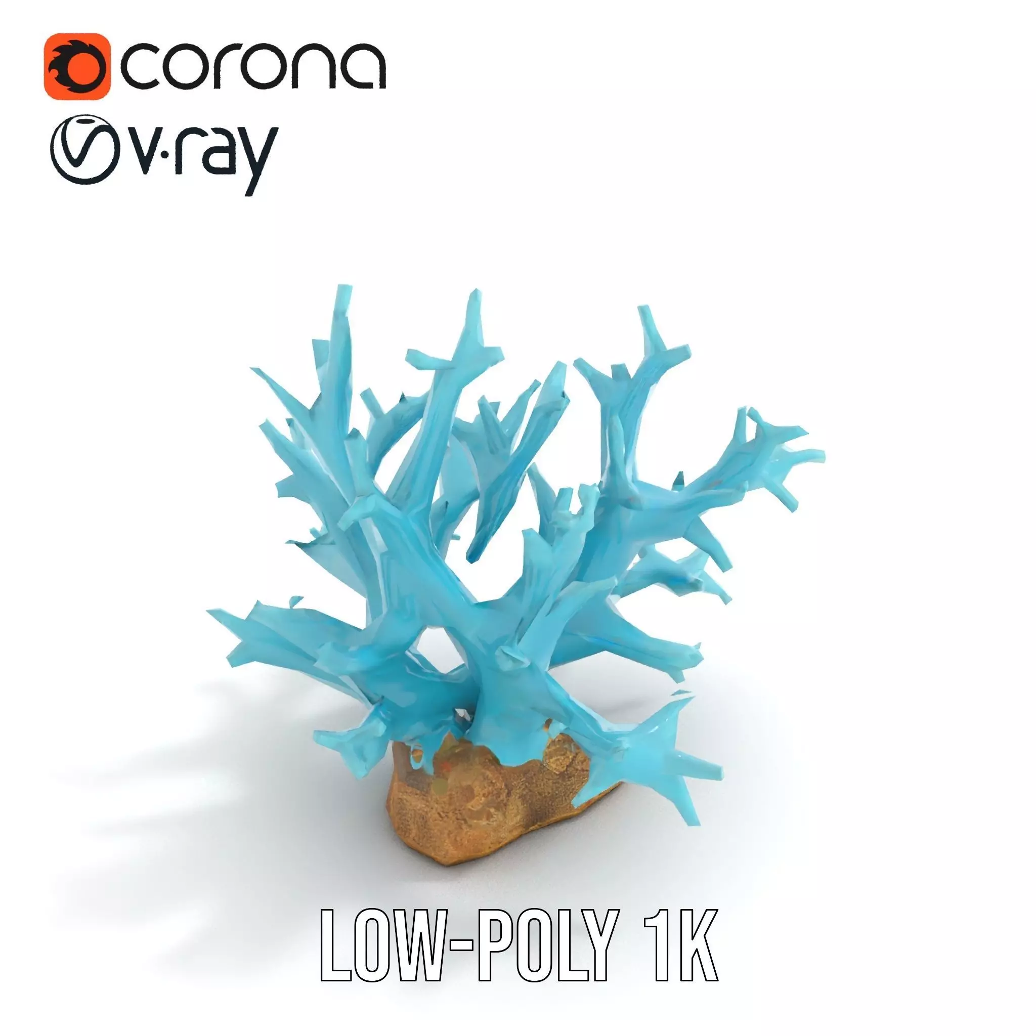Turquoise Coral model pack Low-poly 3D model_16
