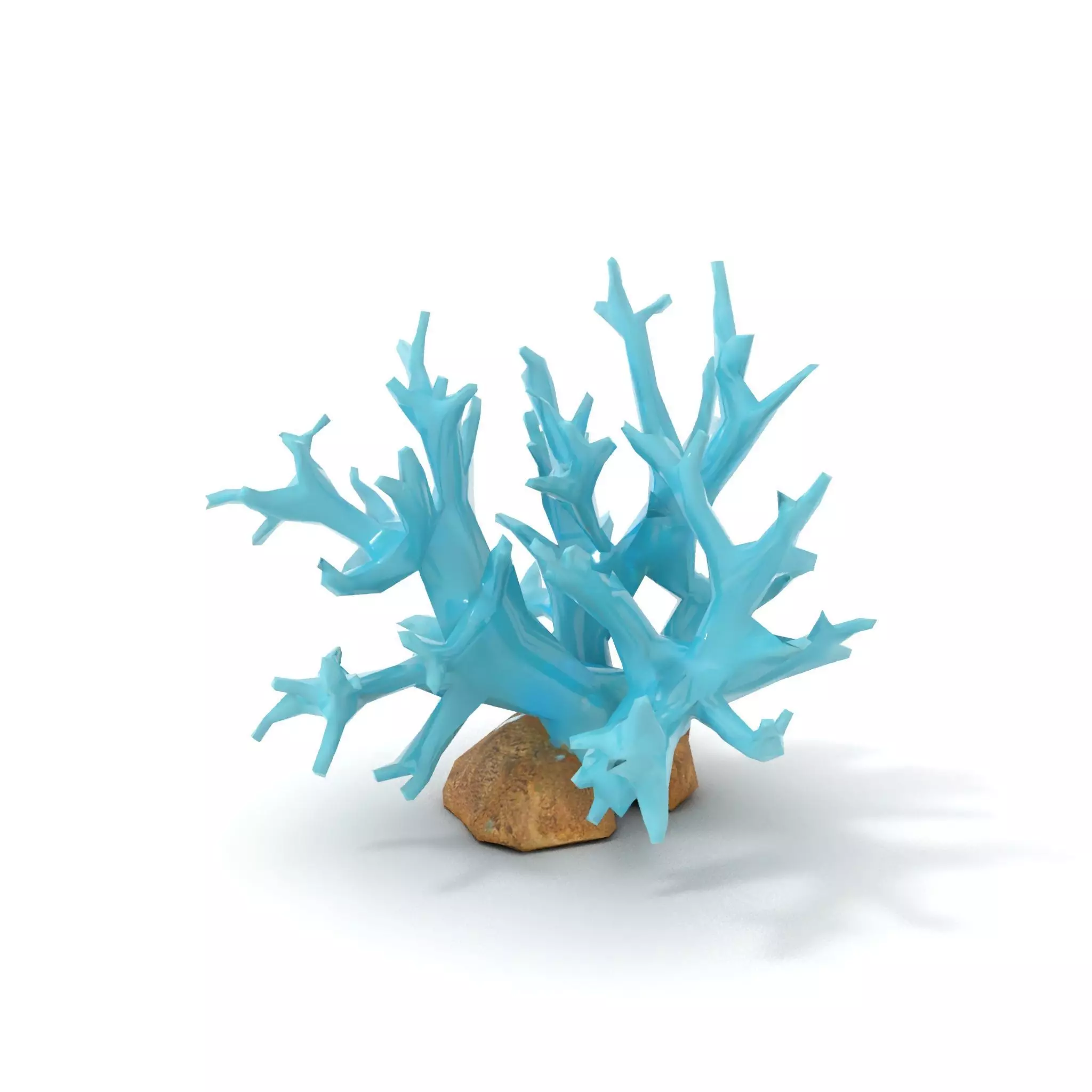 Turquoise Coral model pack Low-poly 3D model_12
