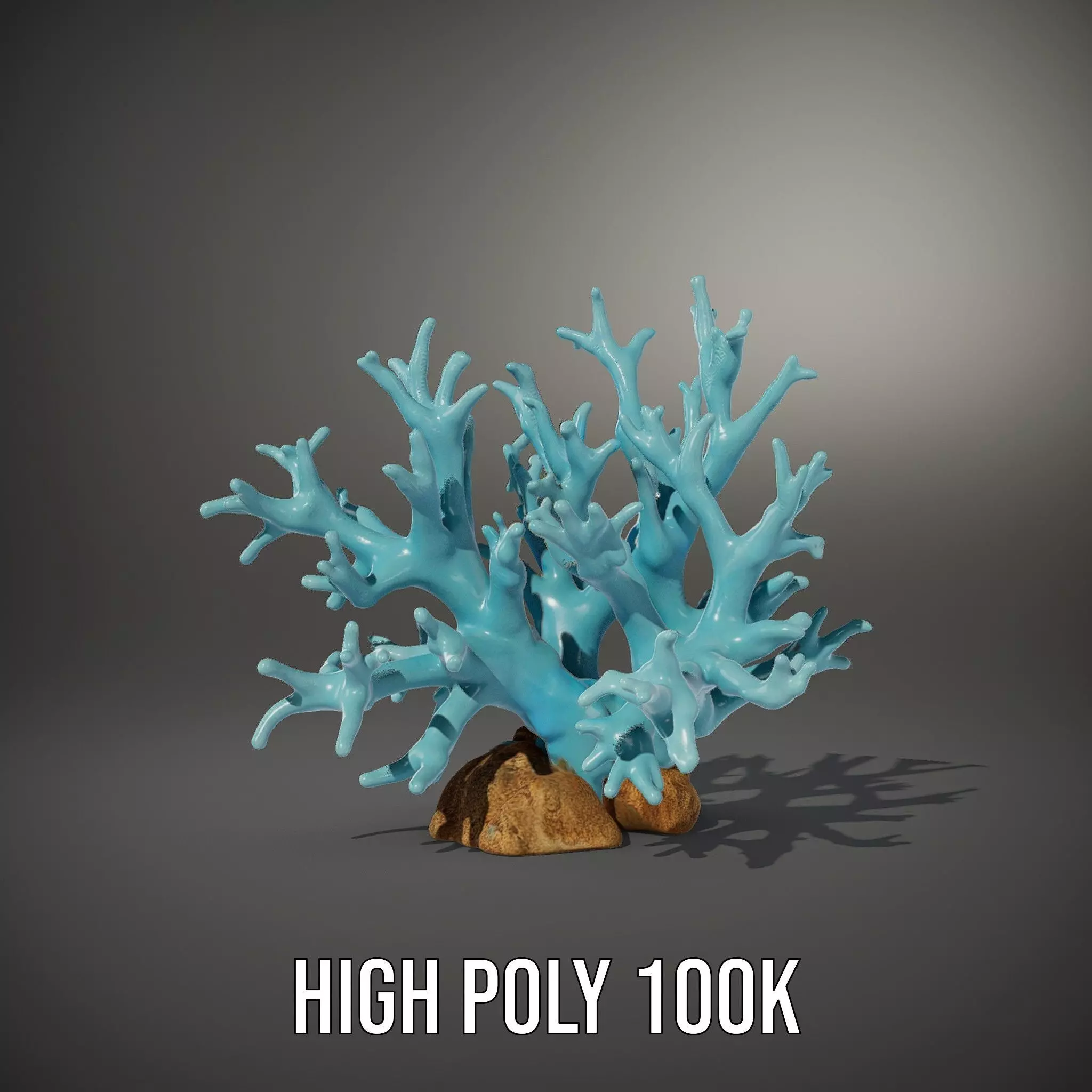 Turquoise Coral model pack Low-poly 3D model_8