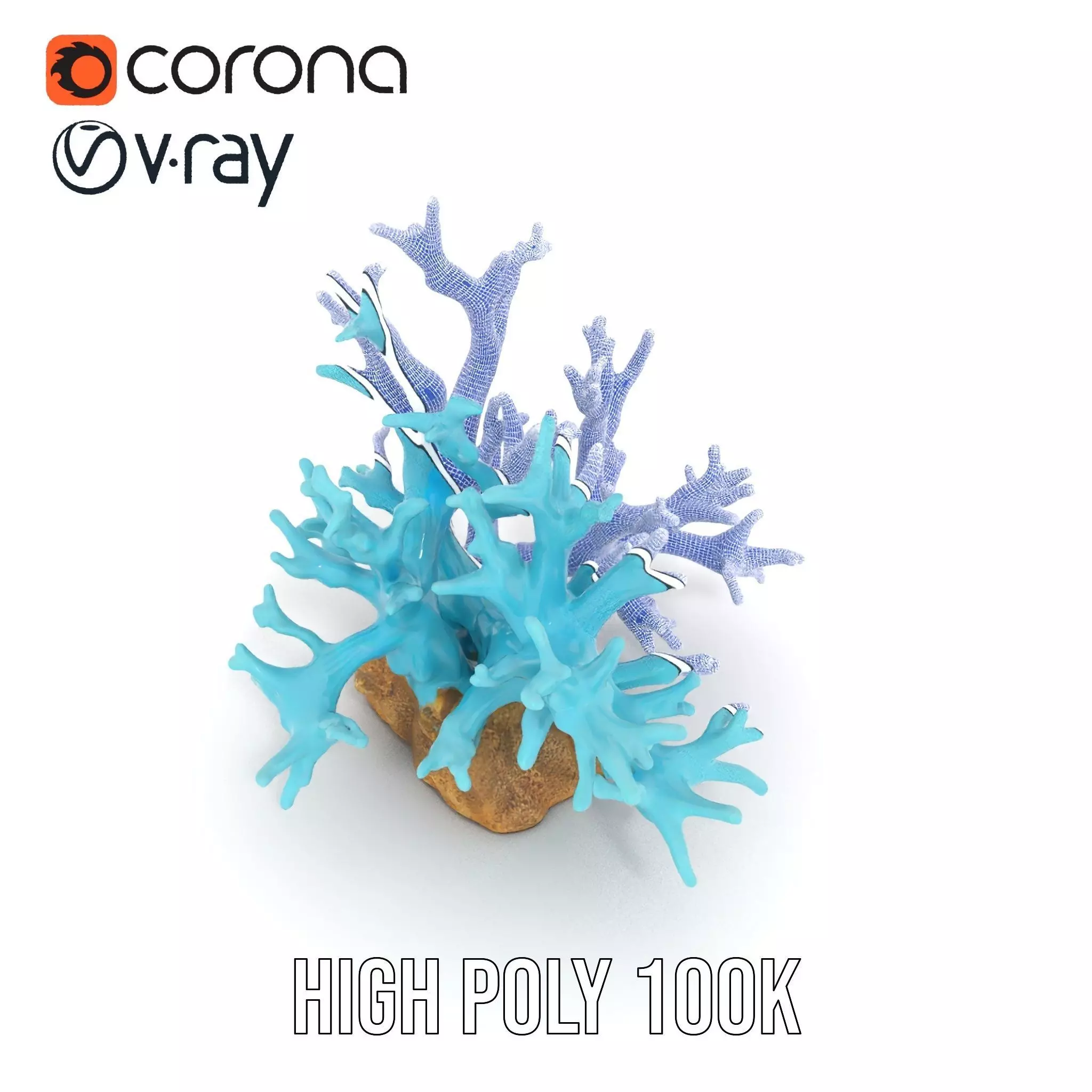 Turquoise Coral model pack Low-poly 3D model_32