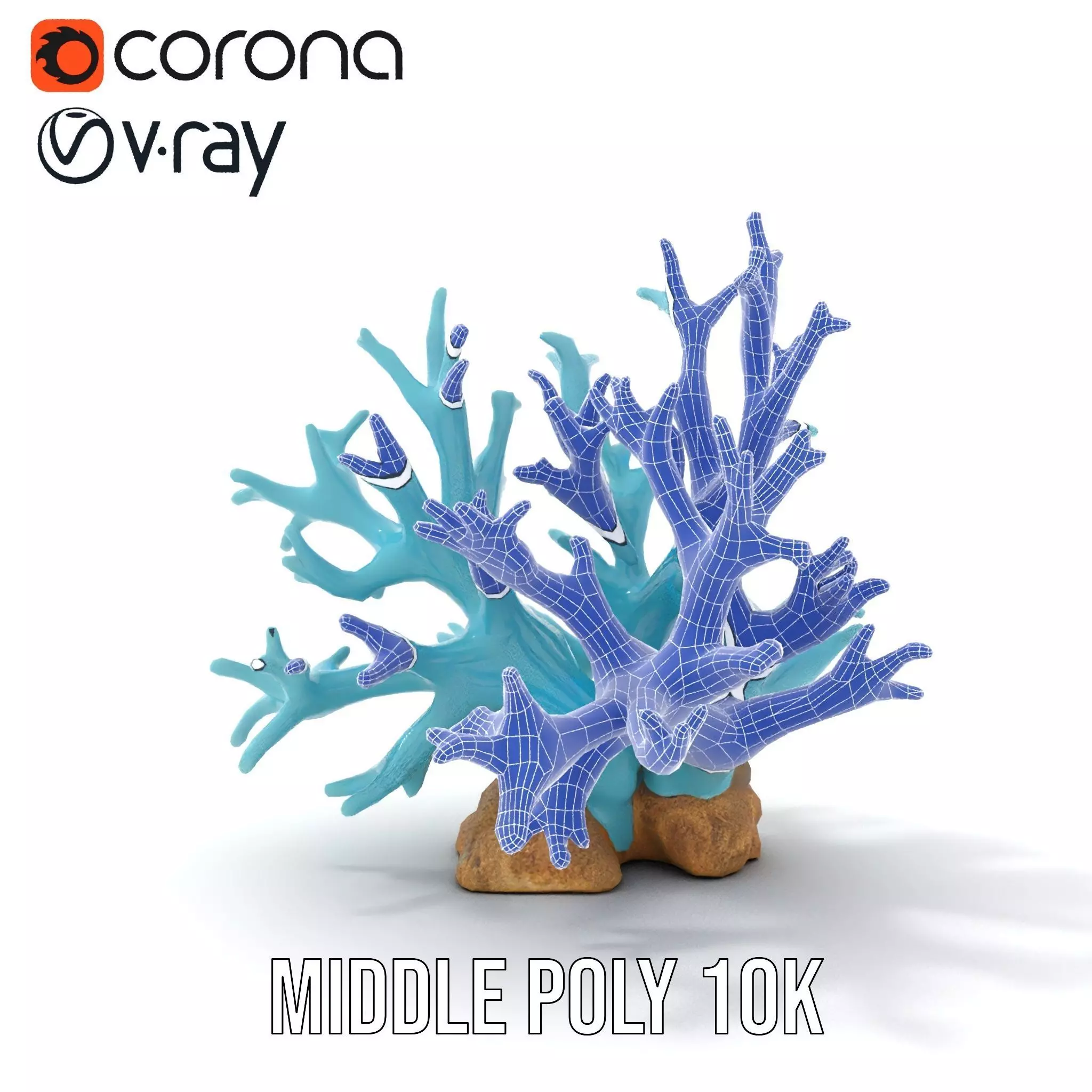 Turquoise Coral model pack Low-poly 3D model_26