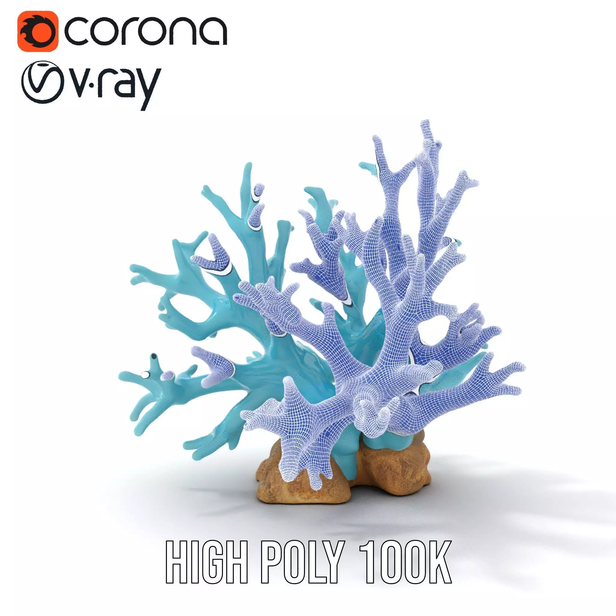 Turquoise Coral model pack Low-poly 3D model_33