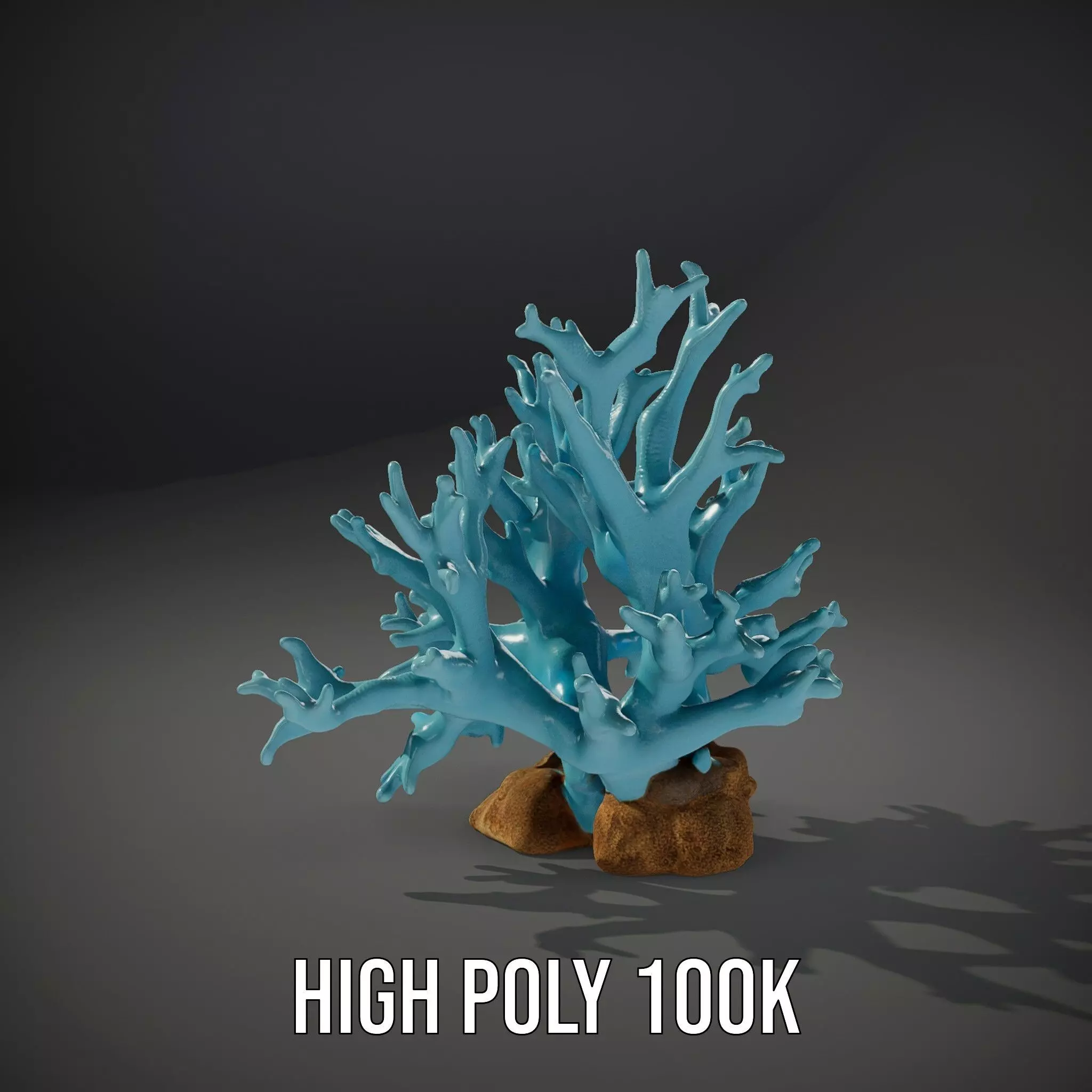 Turquoise Coral model pack Low-poly 3D model_10