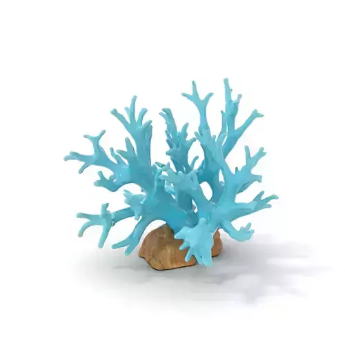 Turquoise Coral model pack Low-poly 3D model