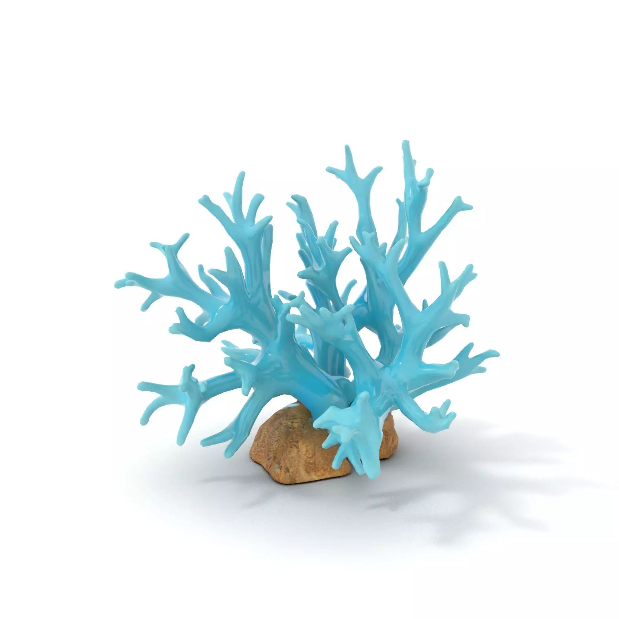 Turquoise Coral model pack Low-poly 3D model_5