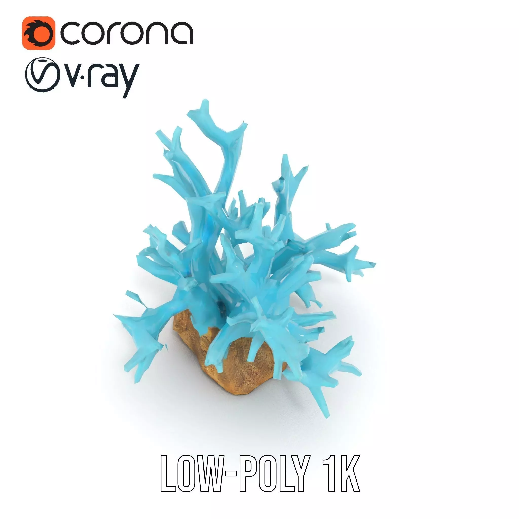 Turquoise Coral model pack Low-poly 3D model_7